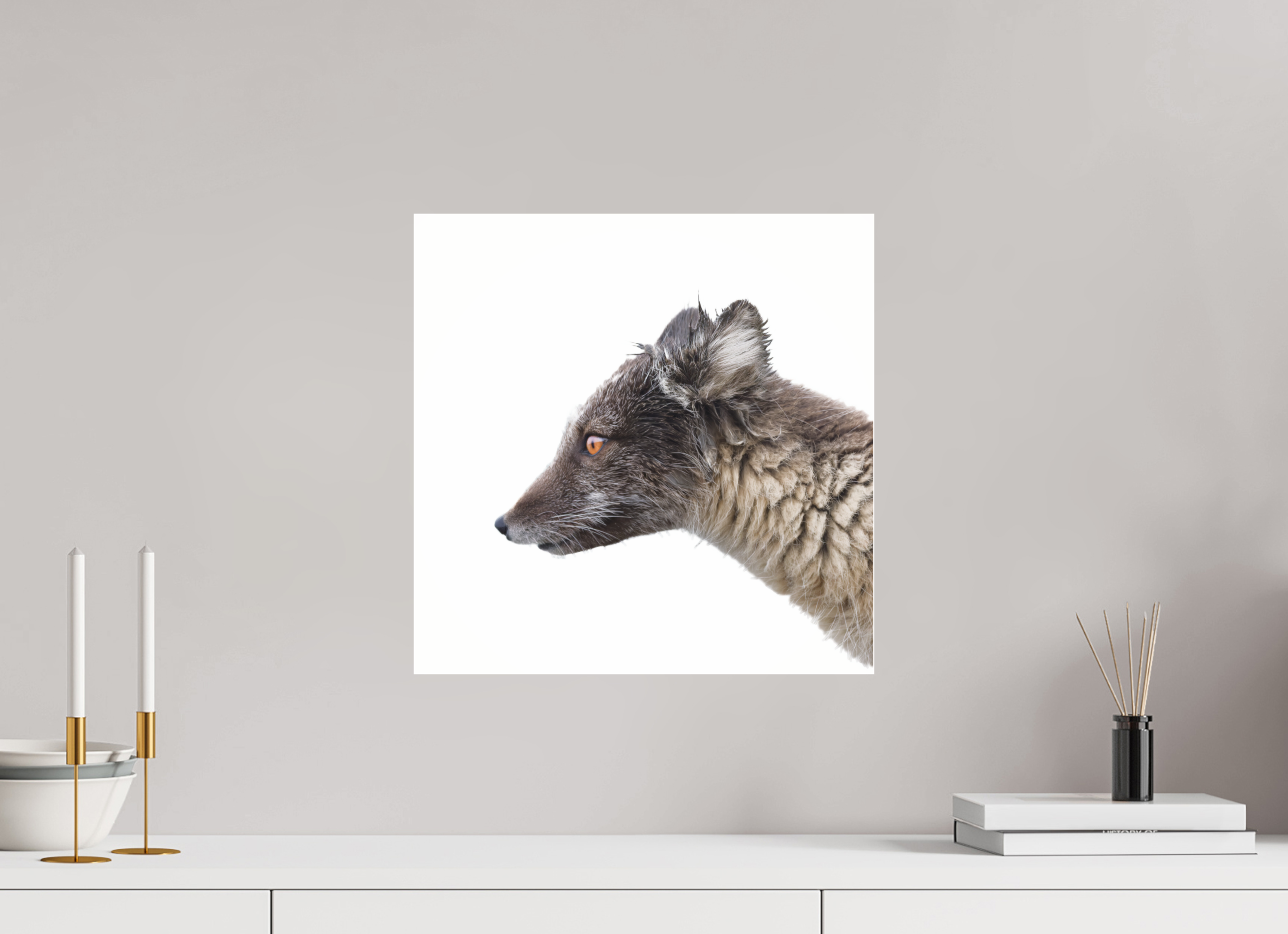 40 x 40 cm, Photo Print Under Glossy Acrylic Glass 4mm Arctic Fox Brown - Under Acrylic Glass