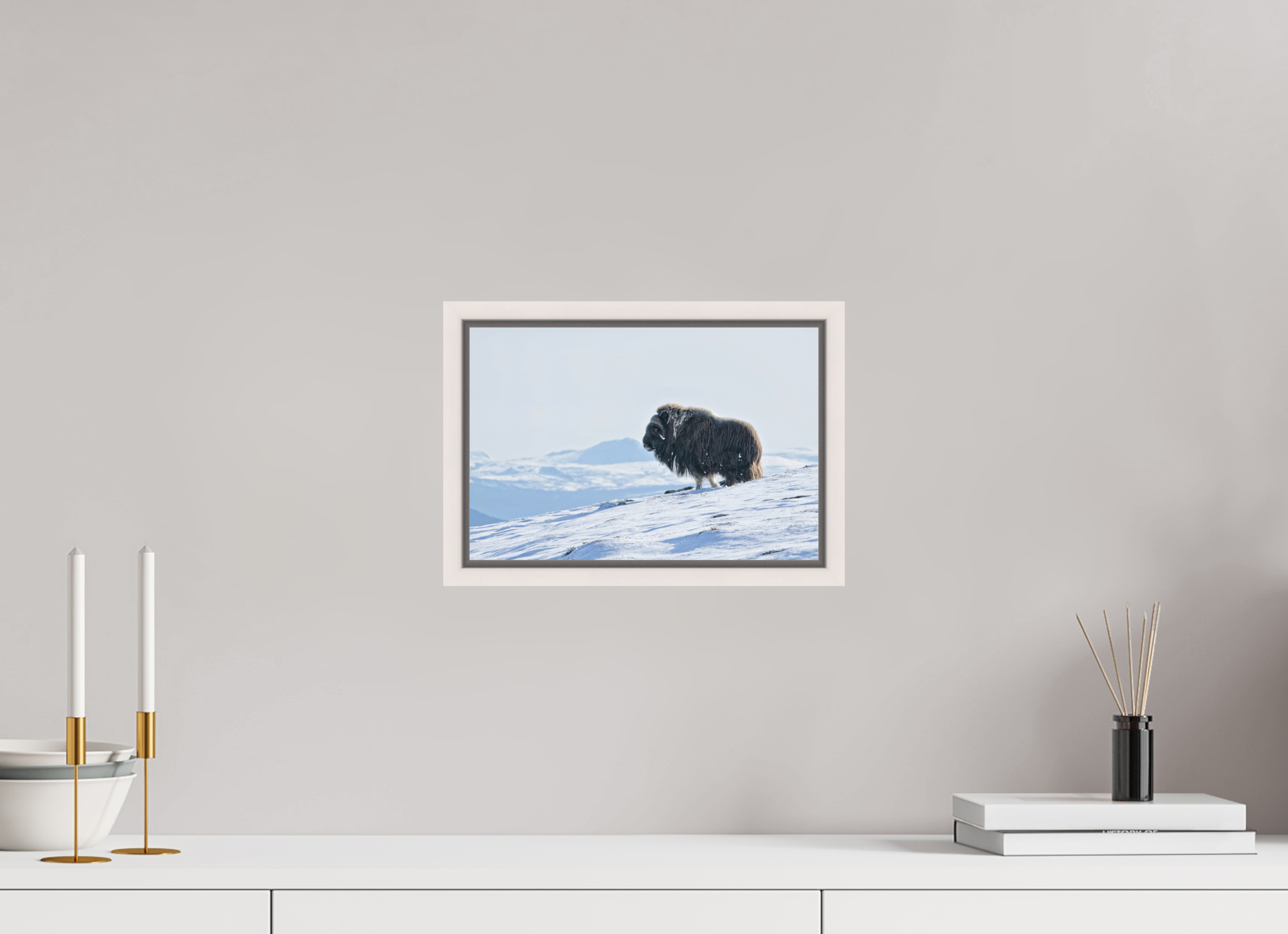 30 x 20 cm, Floater Frame Maple White Matte Acrylic Glass The Musk Ox Kingdom - Floater Frame Matte Acrylic