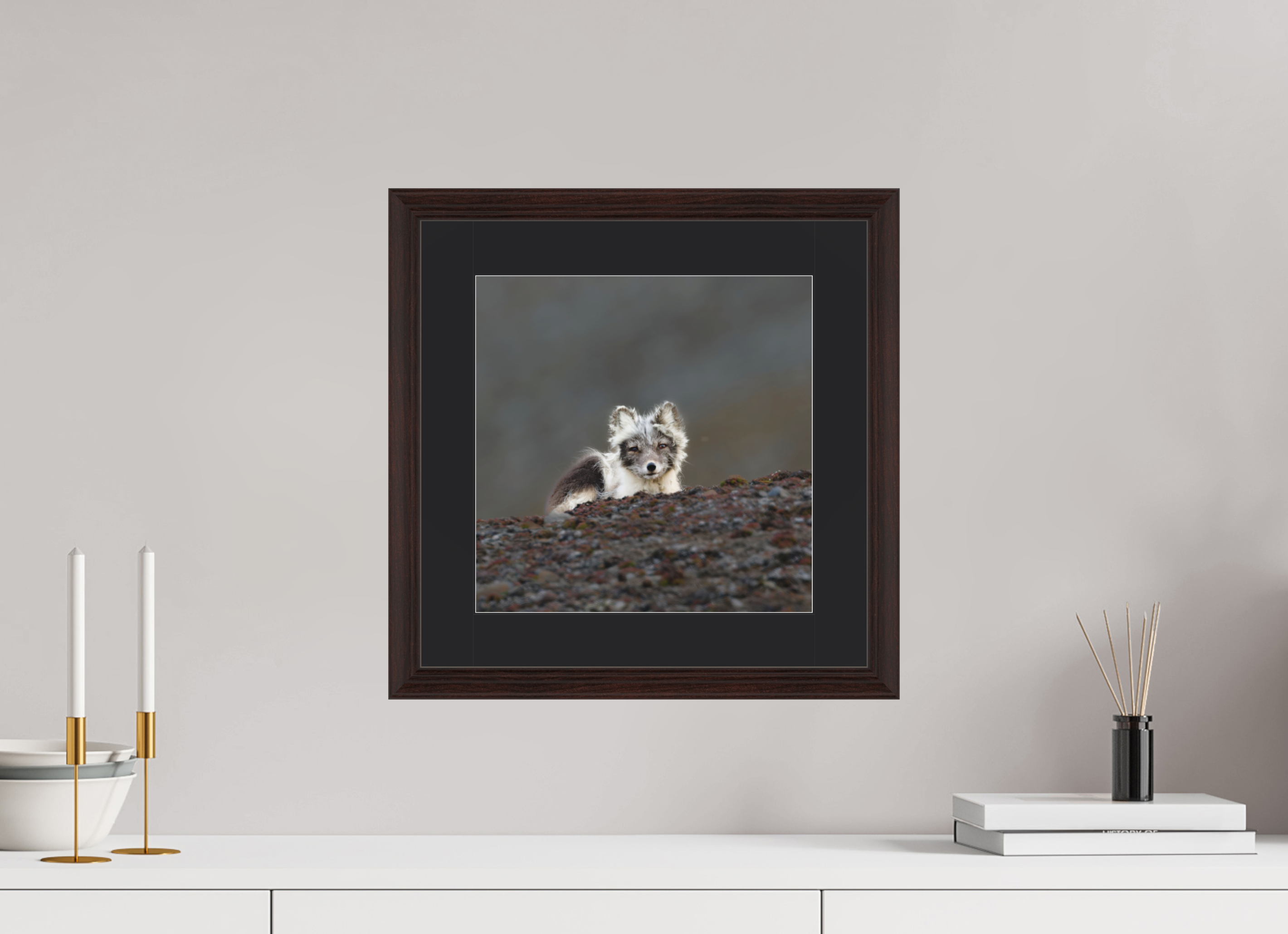 30 x 30 cm, Solid Wood Frame Vienna Passe-partout Alder Brown Arctiv Fox Scout -Solid Frame With Passe-Partout