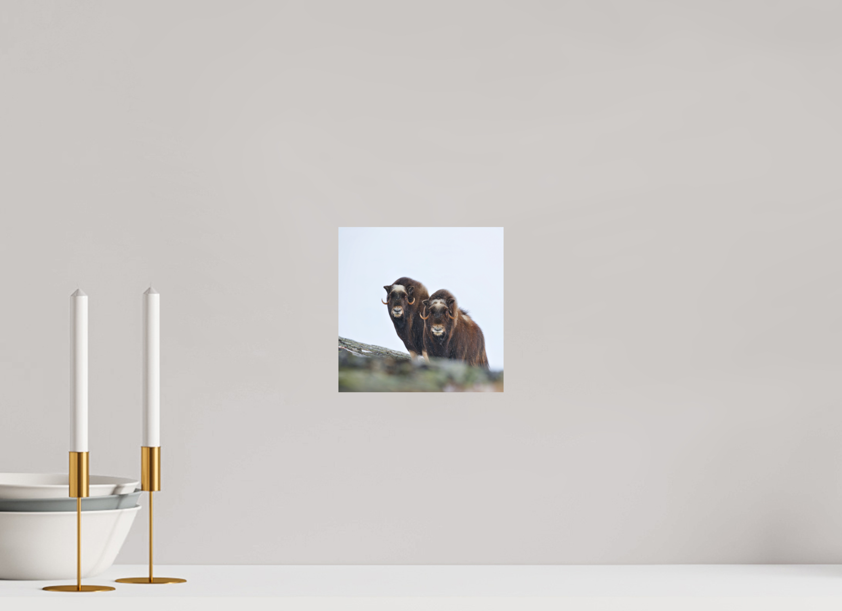 20 x 20 cm, Matte Photo Print The Musk Sisters - Photo Print