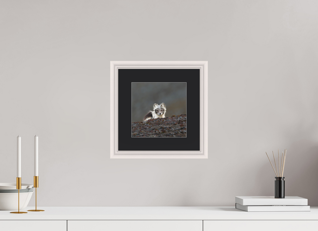20 x 20 cm, Solid Wood Frame Vienna Passe-partout Maple White Arctiv Fox Scout -Solid Frame With Passe-Partout