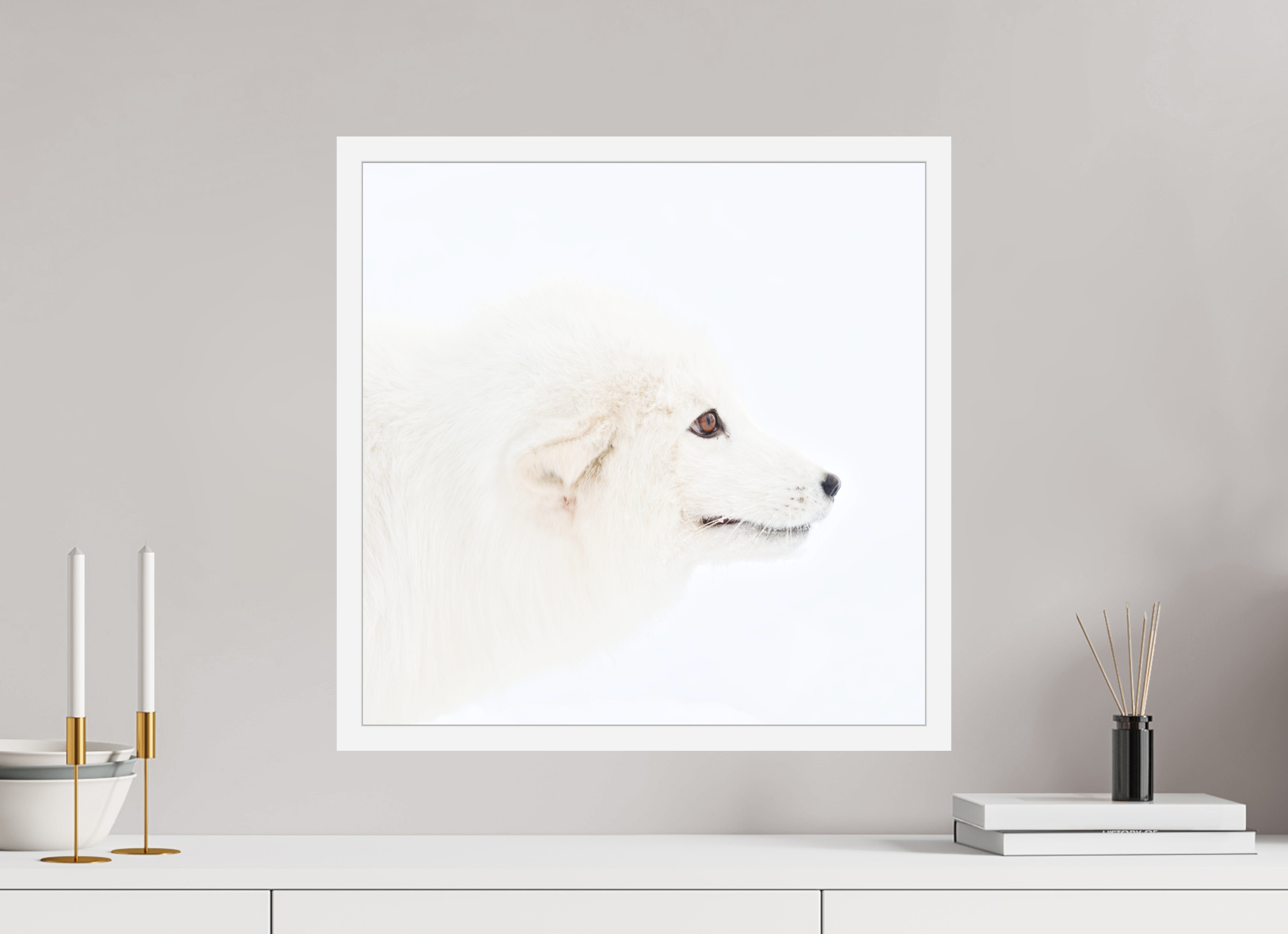 50 x 50 cm, Gallery Frame Hamburg 20mm White Matte Acrylic Arctic Fox Head - In Gallery Frame Hamburg 20 mm