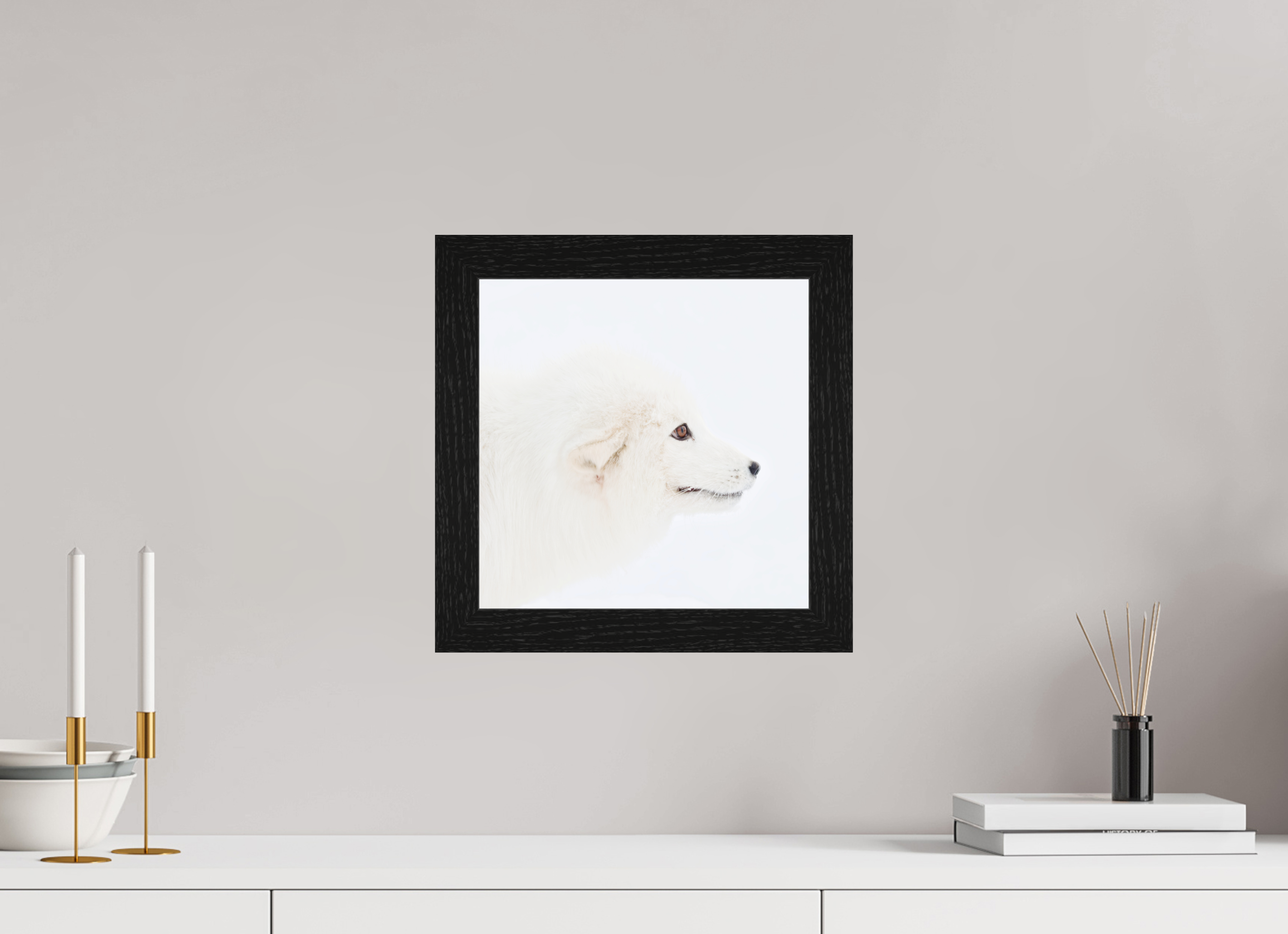 30 x 30 cm, Gallery Frame Hamburg 40mm Black Oak Glossy Acrylic Glass Arctic Fox Head - In Solid Wood Frame Hamburg 40 mm