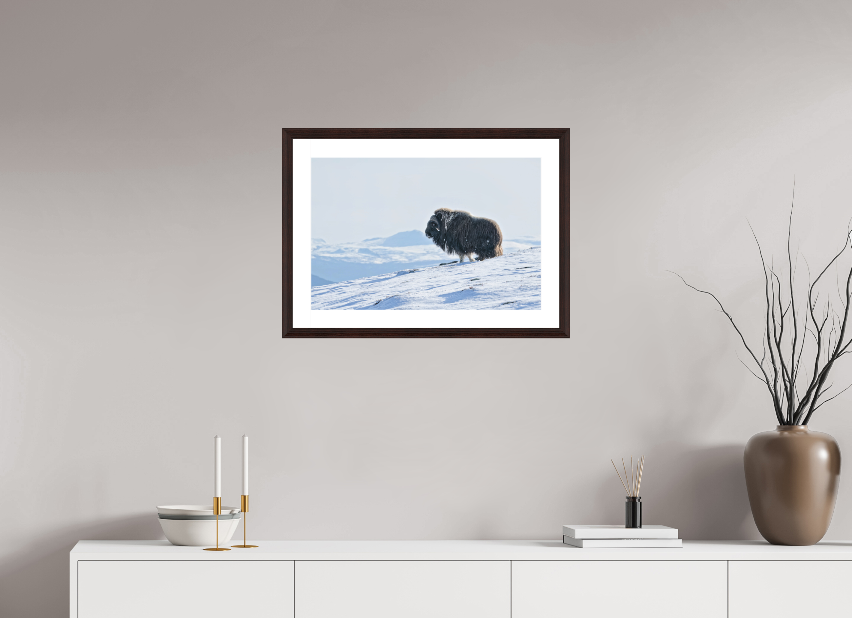 60 x 40 cm, Solid Wood Alder Brown Frame Vienna White Passe-partout The Musk Ox Kingdom -  Solid Frame White Passe-Partout