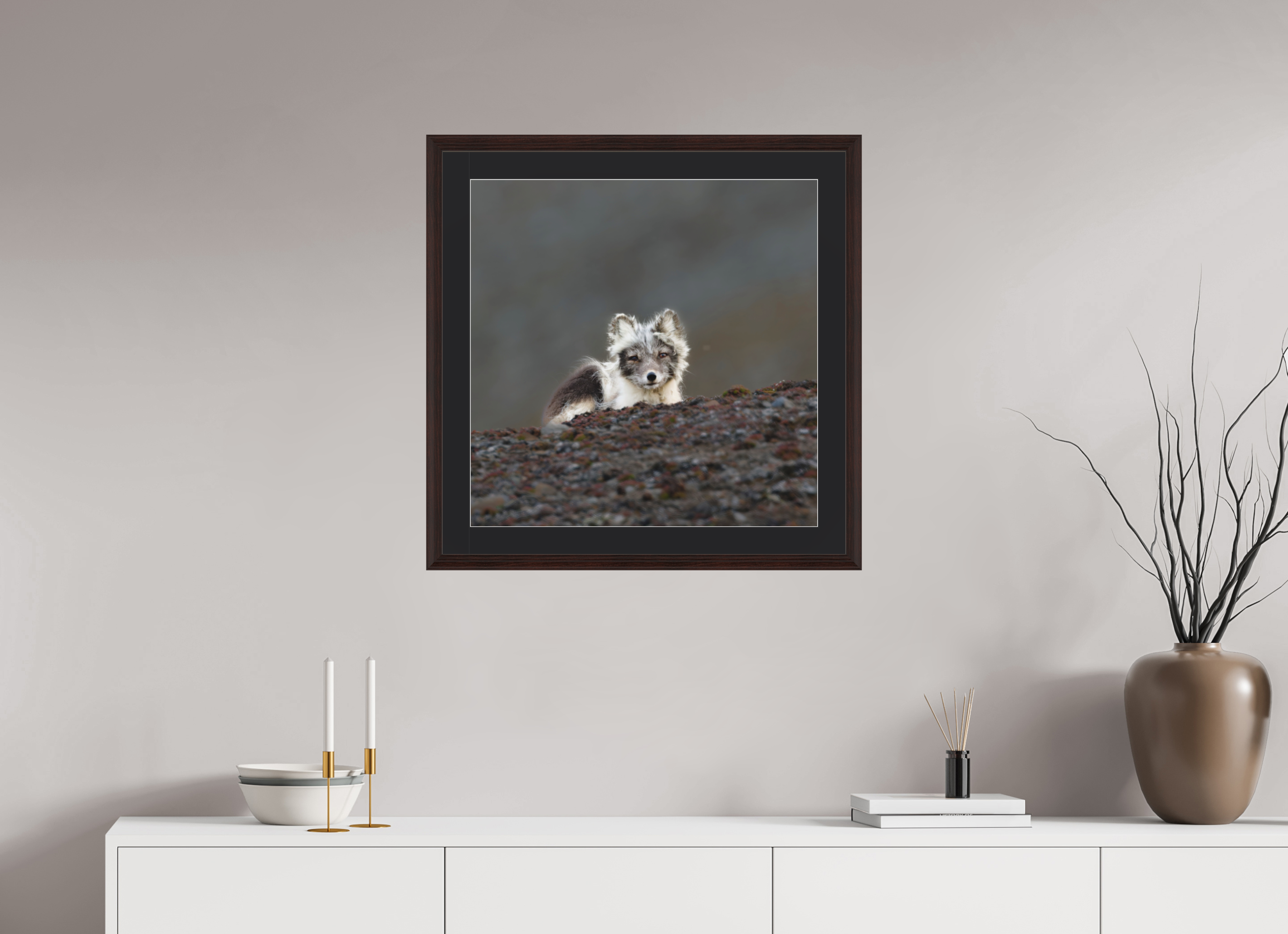 60 x 60 cm, Solid Wood Frame Vienna Passe-partout Alder Brown Arctiv Fox Scout -Solid Frame With Passe-Partout