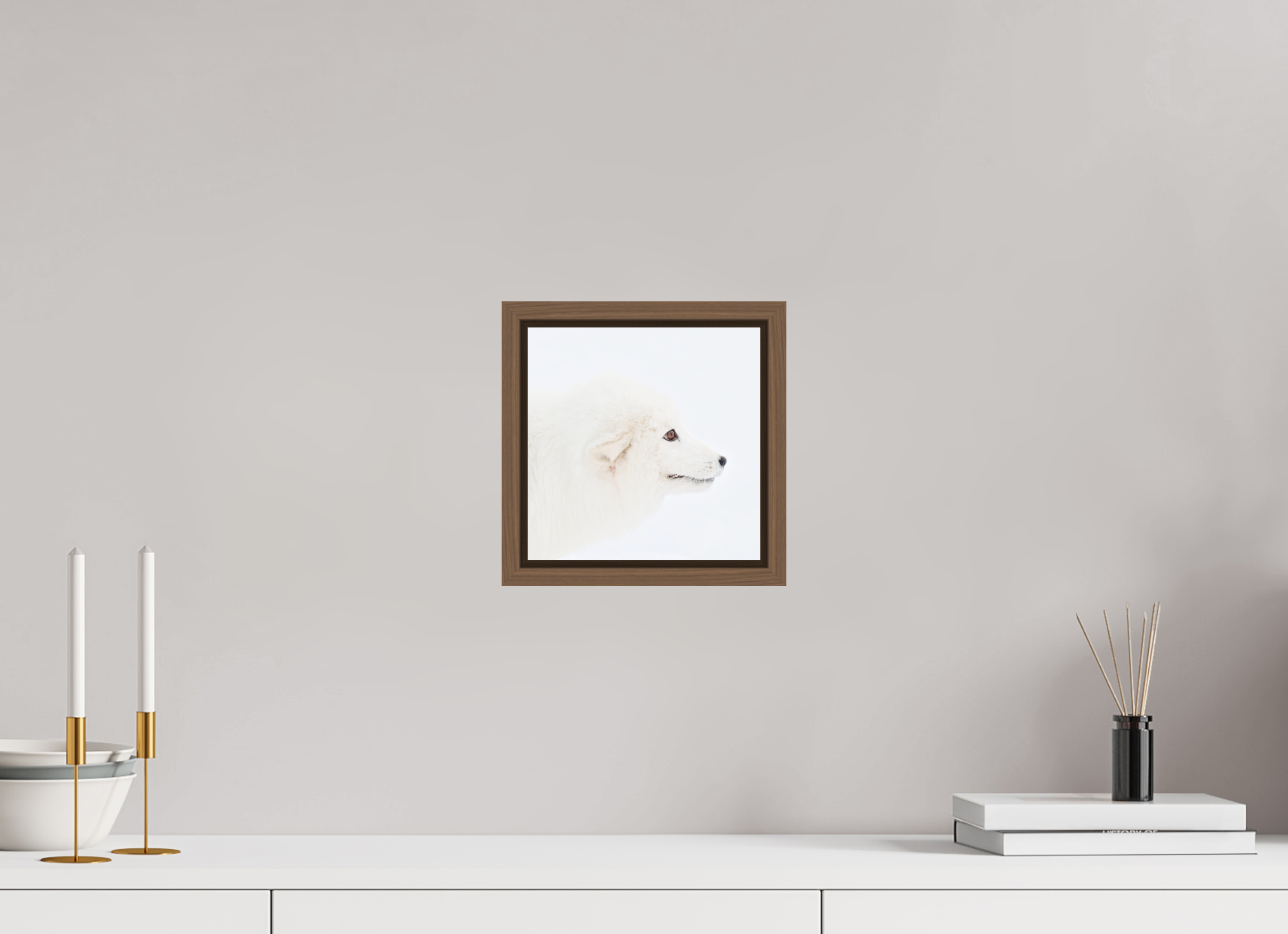 20 x 20 cm, Floater Frame Walnut Glossy Acrylic Glass Arctic Fox Head - Floater Frame