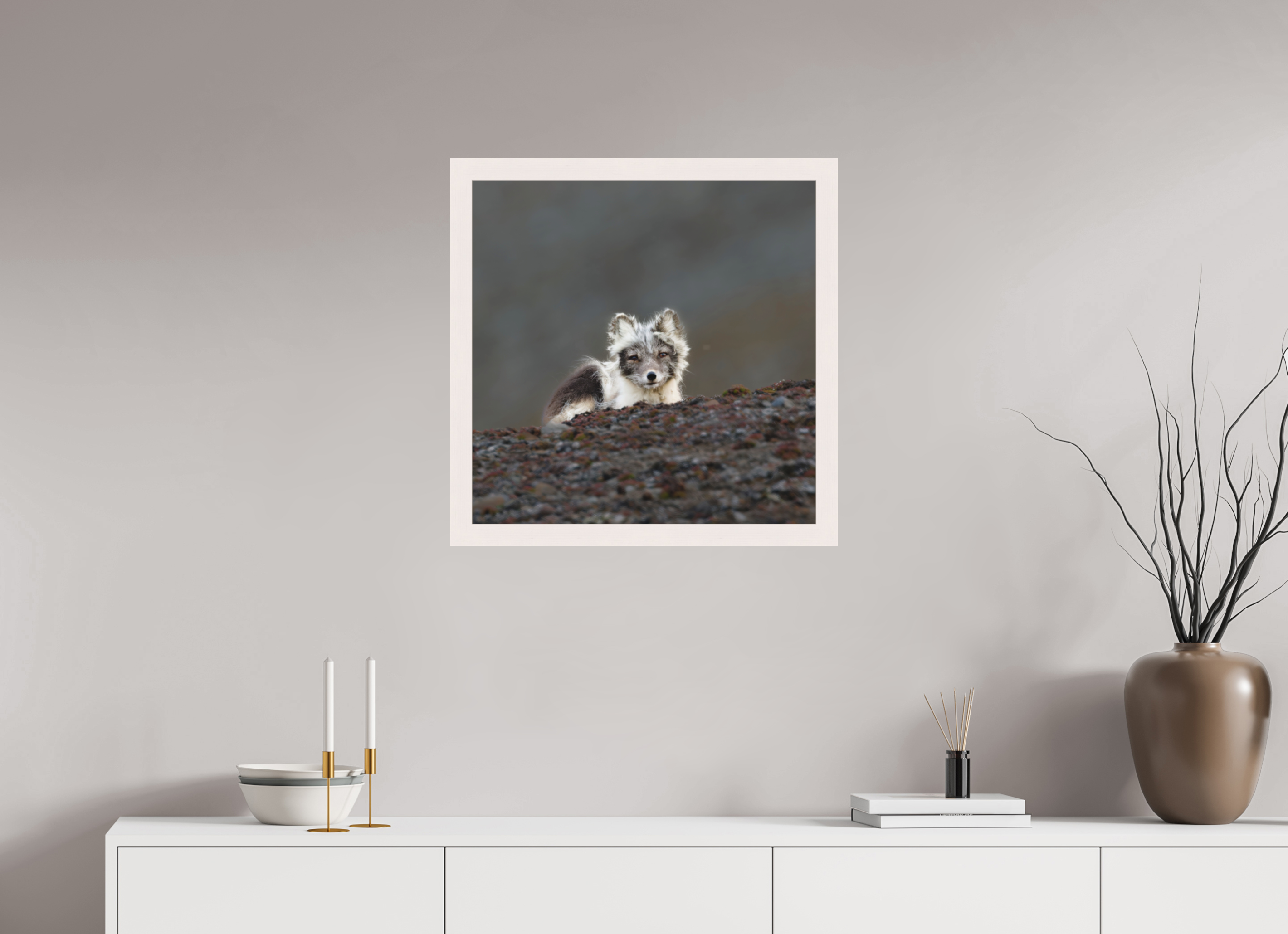 60 x 60 cm, Gallery Frame Hamburg 40mm White Maple Matte Acrylic Arctic Fox Scout- In Solid 40 mm Wood Frame Hamburg Matte