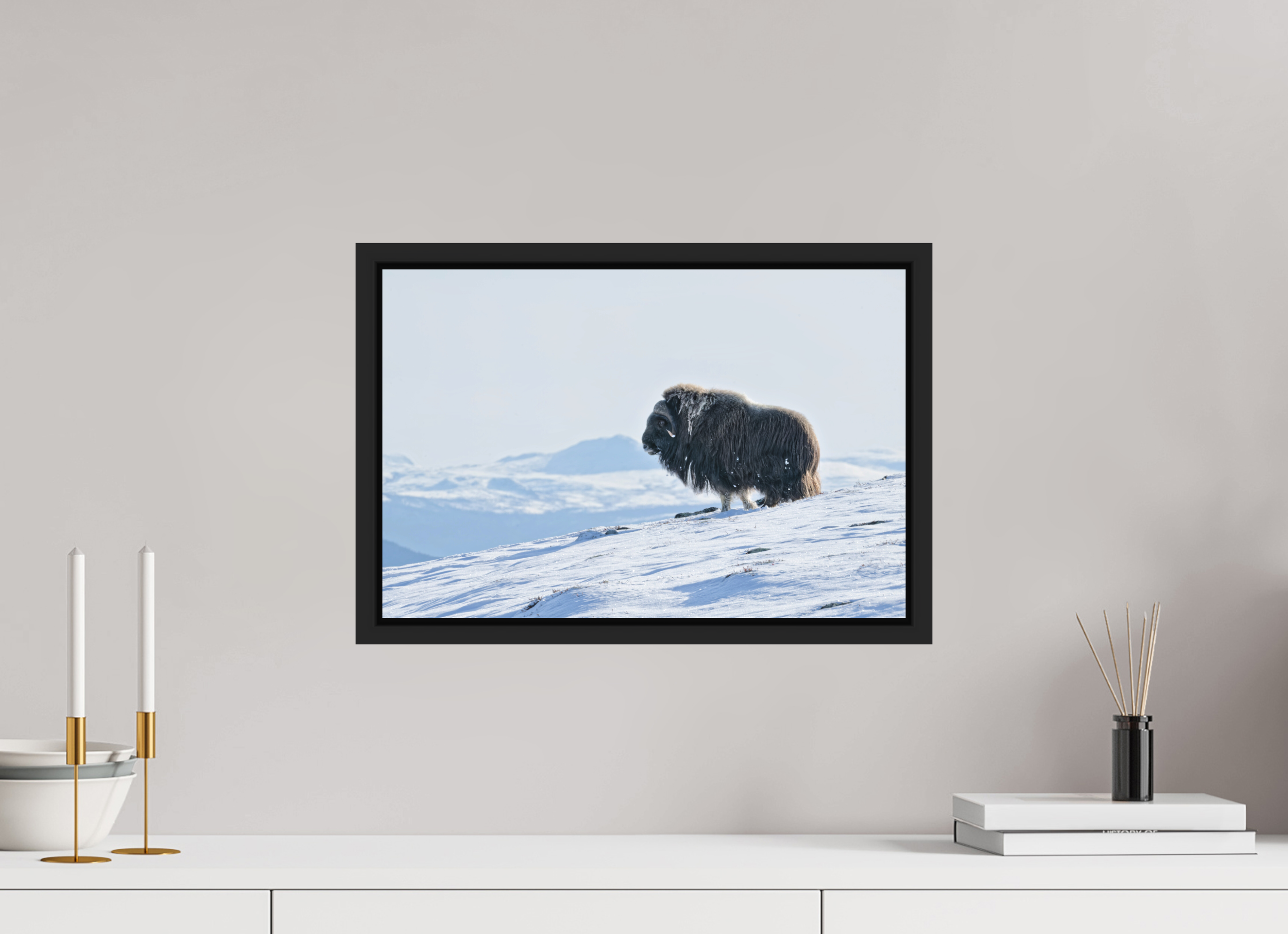 45 x 30 cm, Floater Frame Matte Black Matte Acrylic Glass The Musk Ox Kingdom - Floater Frame Matte Acrylic