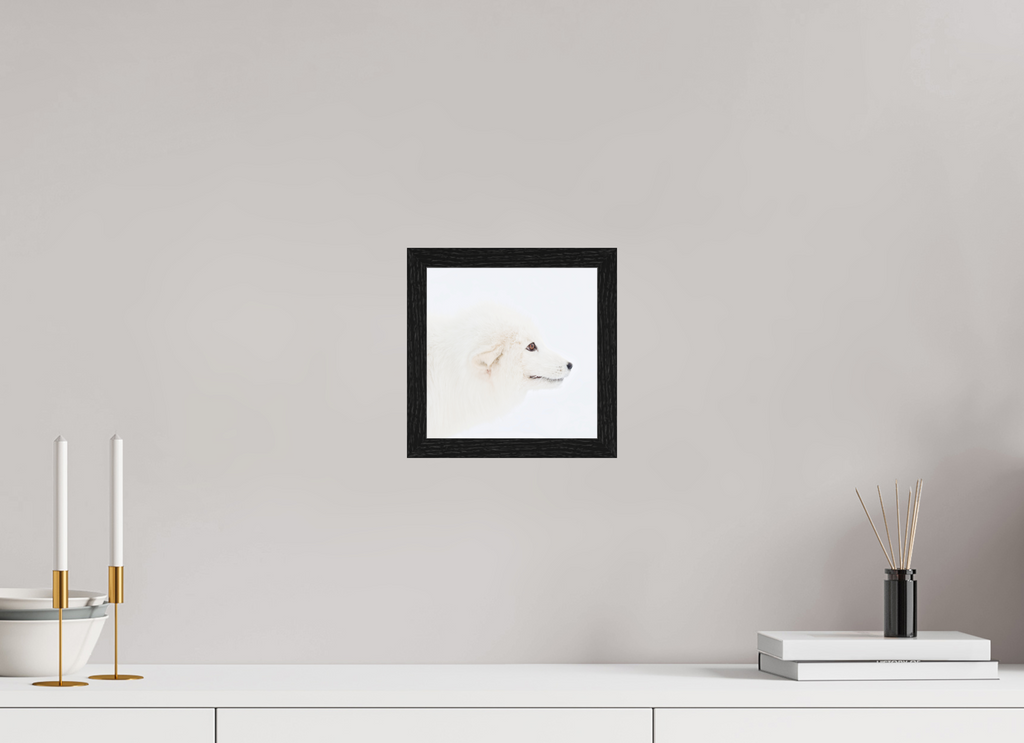 20 x 20 cm, Gallery Frame Hamburg 20mm Black Oak Glossy Acrylic Arctic Fox Head - In Gallery Frame Hamburg