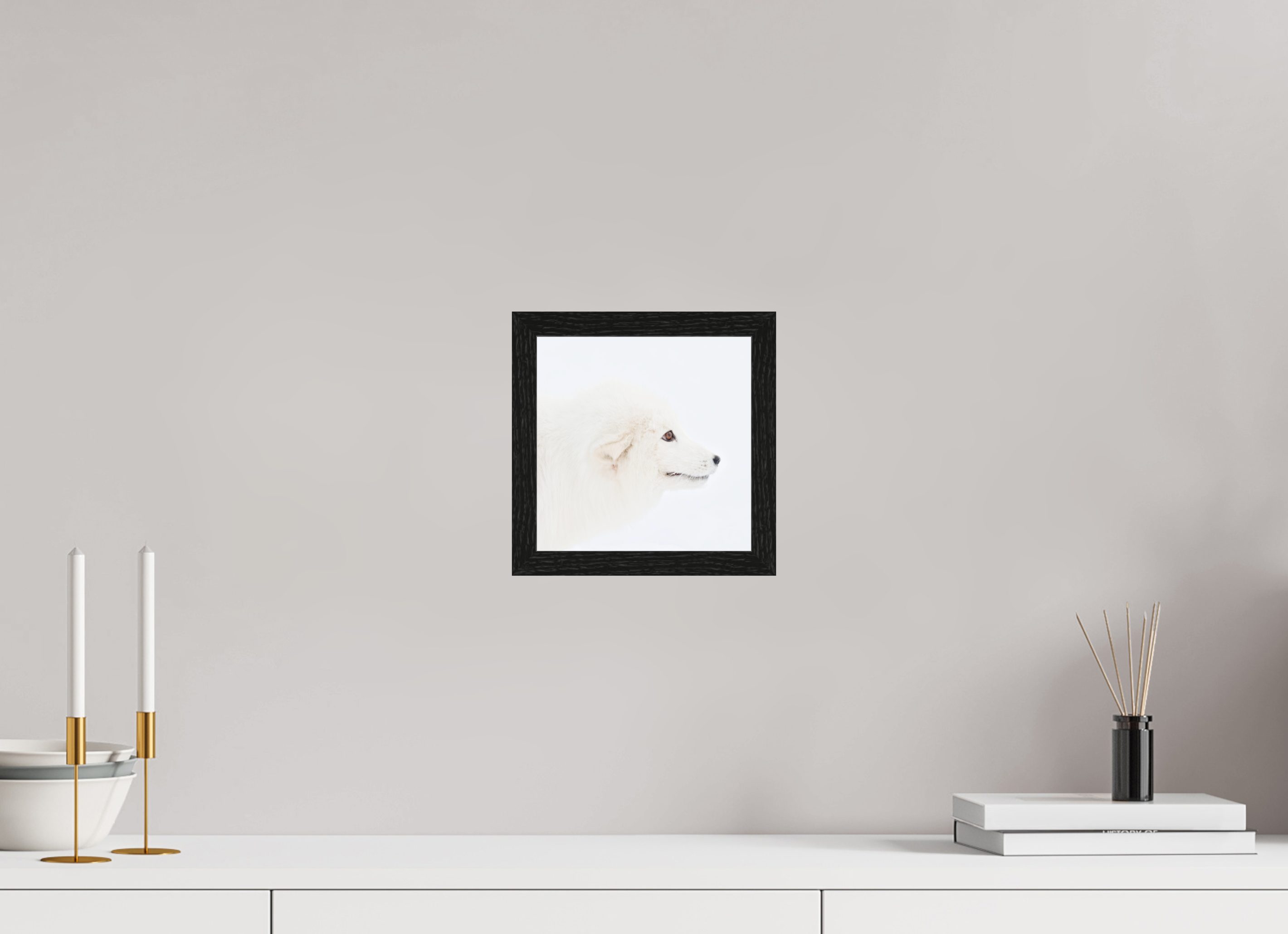 20 x 20 cm, Gallery Frame Hamburg 20mm Black Oak Glossy Acrylic Arctic Fox Head - In Gallery Frame Hamburg