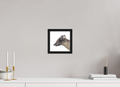 20 x 20 cm, Gallery Frame Hamburg 20mm Black Oak Matte Acrylic Arctic Fox Brown - In Solid 20 mm Wood Frame Hamburg Matte