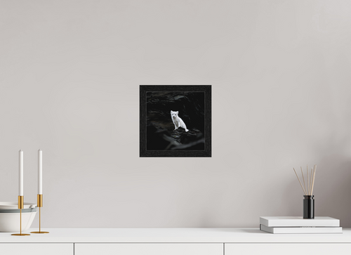 20 x 20 cm, Gallery Frame Hamburg 20mm Black Oak Matte Acrylic Arctic Fox Angel - In Solid 20 mm Wood Frame Hamburg Matte