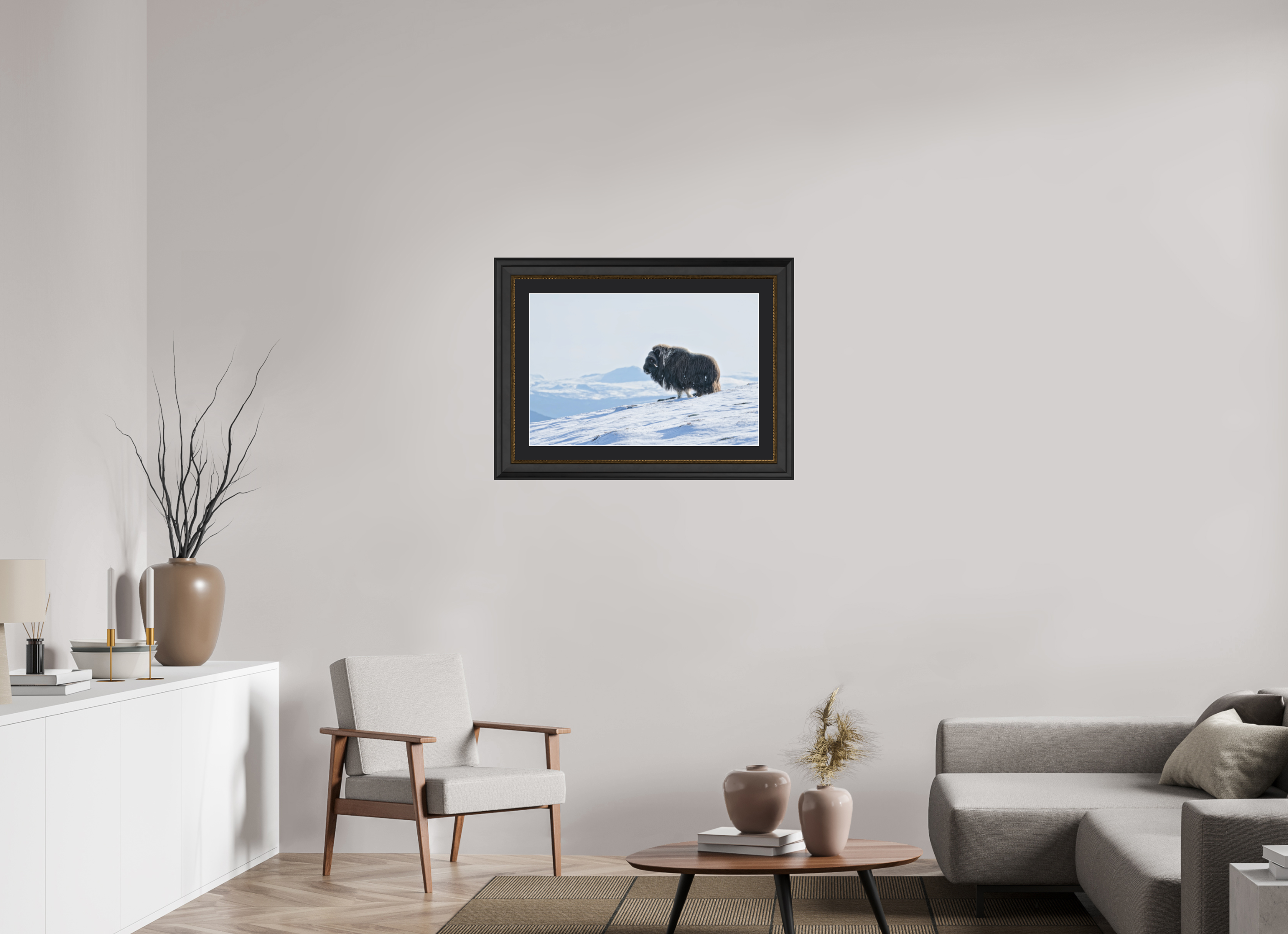 75 x 50 cm, Solid Wood Gold Frame London Black Passe-partout The Musk Ox Kingdom - Solid Frame With Passe-Partout