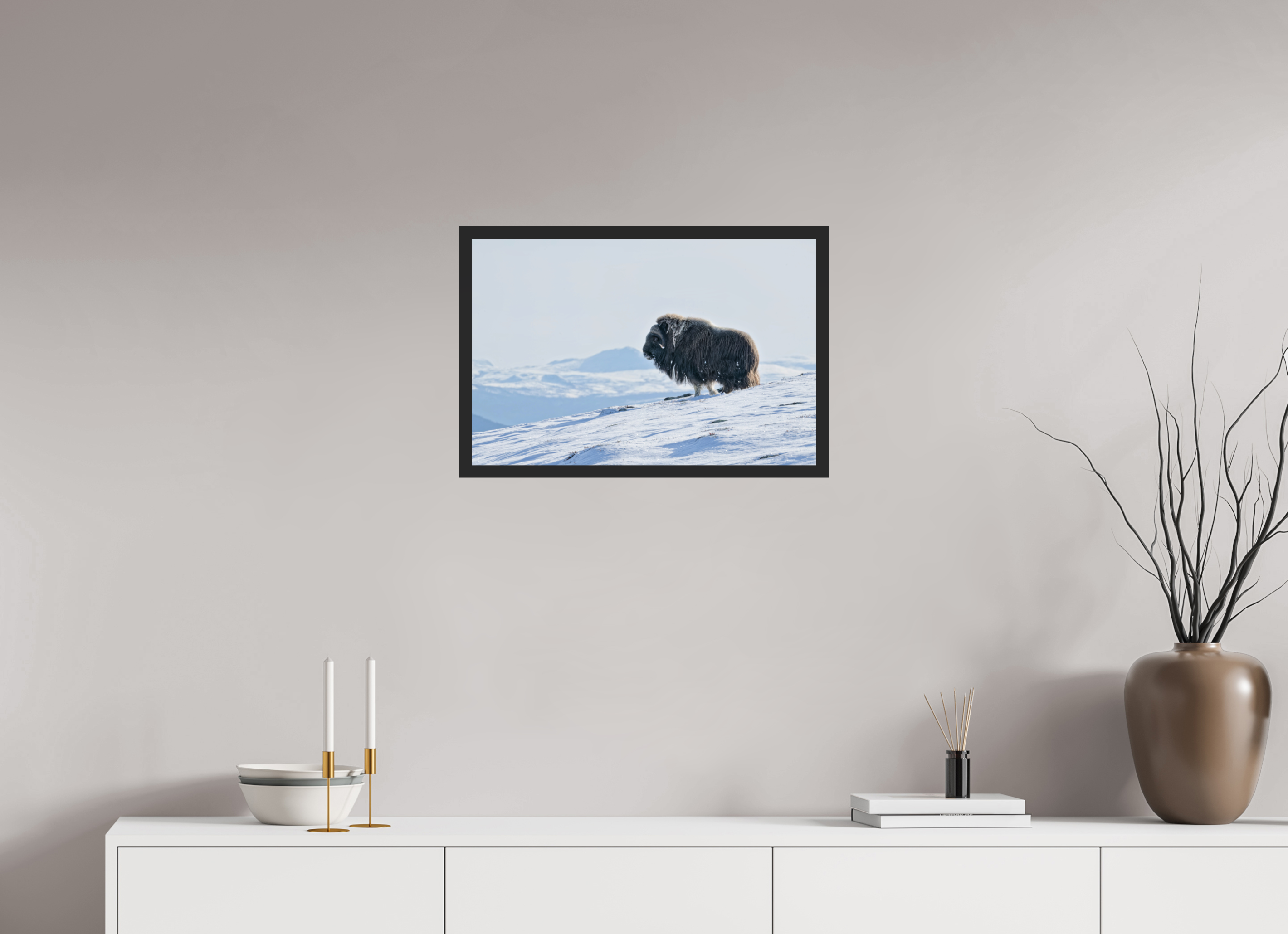 60 x 40 cm, Gallery Frame Hamburg Matte Black Glossy Acrylic The Musk Ox Kingdom - In Solid 20 mm Wood Frame Hamburg Glossy