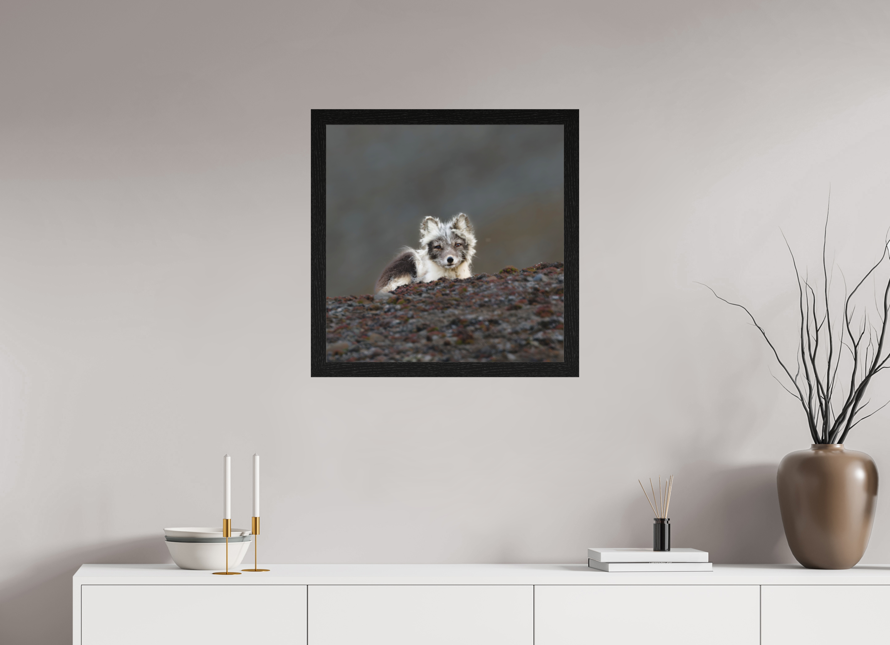 60 x 60 cm, Gallery Frame Hamburg 40mm Black Oak Matte Acrylic Arctic Fox Scout- In Solid 40 mm Wood Frame Hamburg Matte
