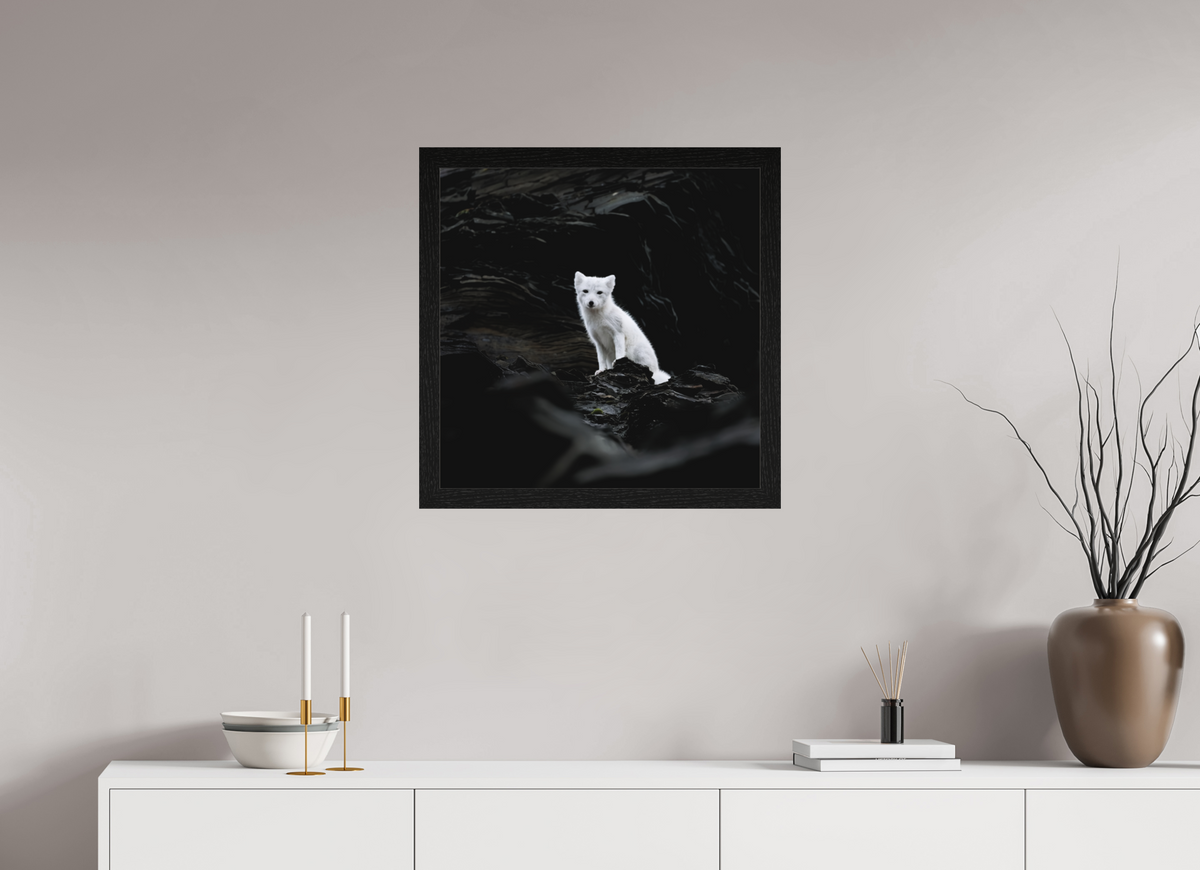 60 x 60 cm, Gallery Frame Hamburg 40mm Black Oak Matte Acrylic Arctic Fox Angel- In Solid 40 mm Wood Frame Hamburg Matte