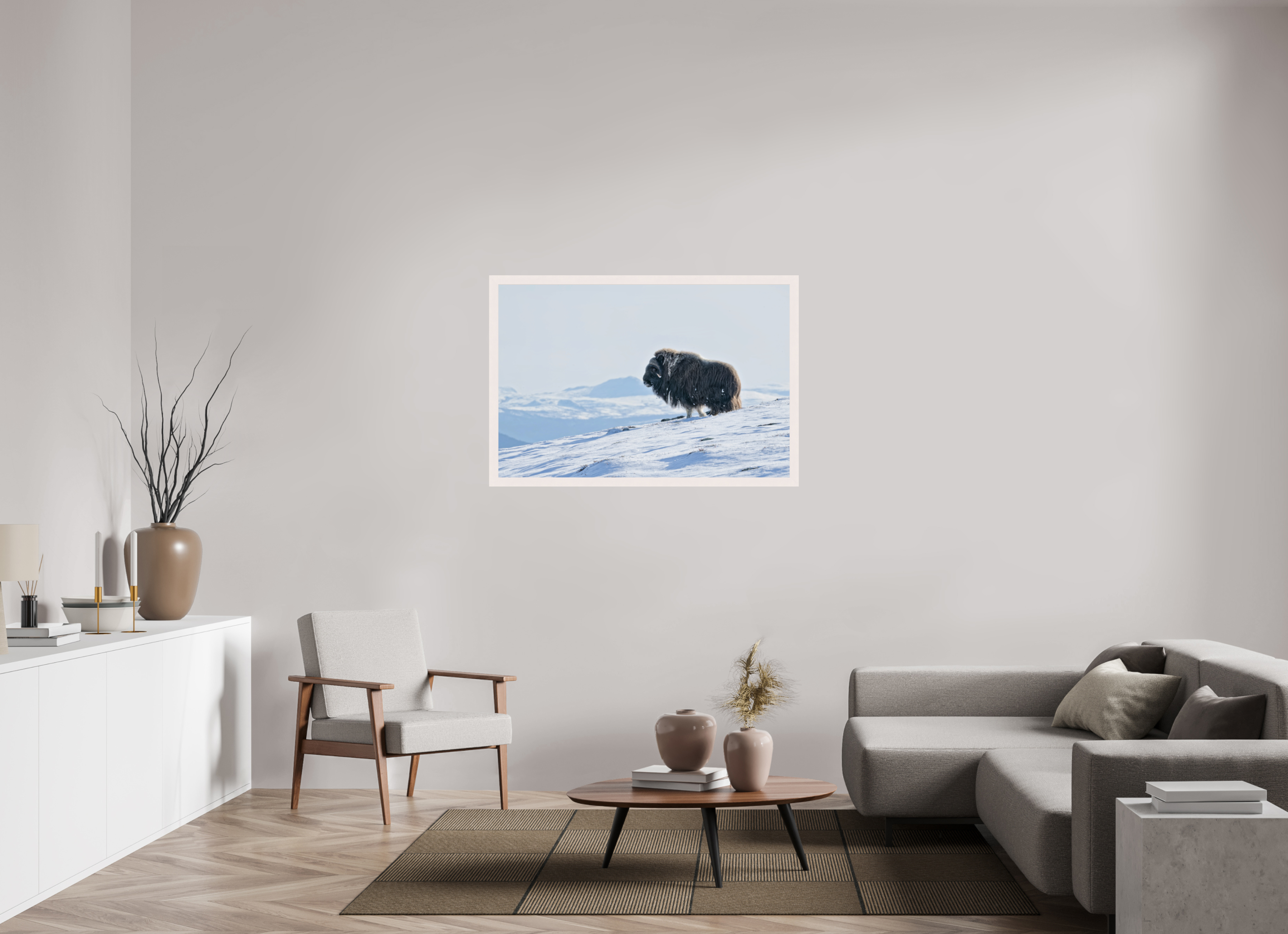 120 x 80 cm, Gallery Frame Hamburg 40mm White Maple Glossy Acrylic Glass The Musk Ox Kingdom -  In Solid 40 mm Wood Frame Hamburg  Glossy Acrylic