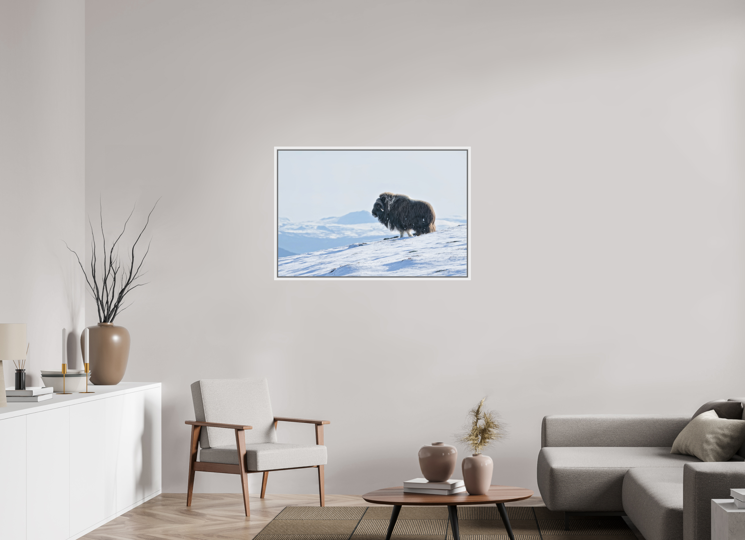 105 x 70 cm, Floater Frame Matte White Matte Acrylic Glass The Musk Ox Kingdom - Floater Frame Matte Acrylic