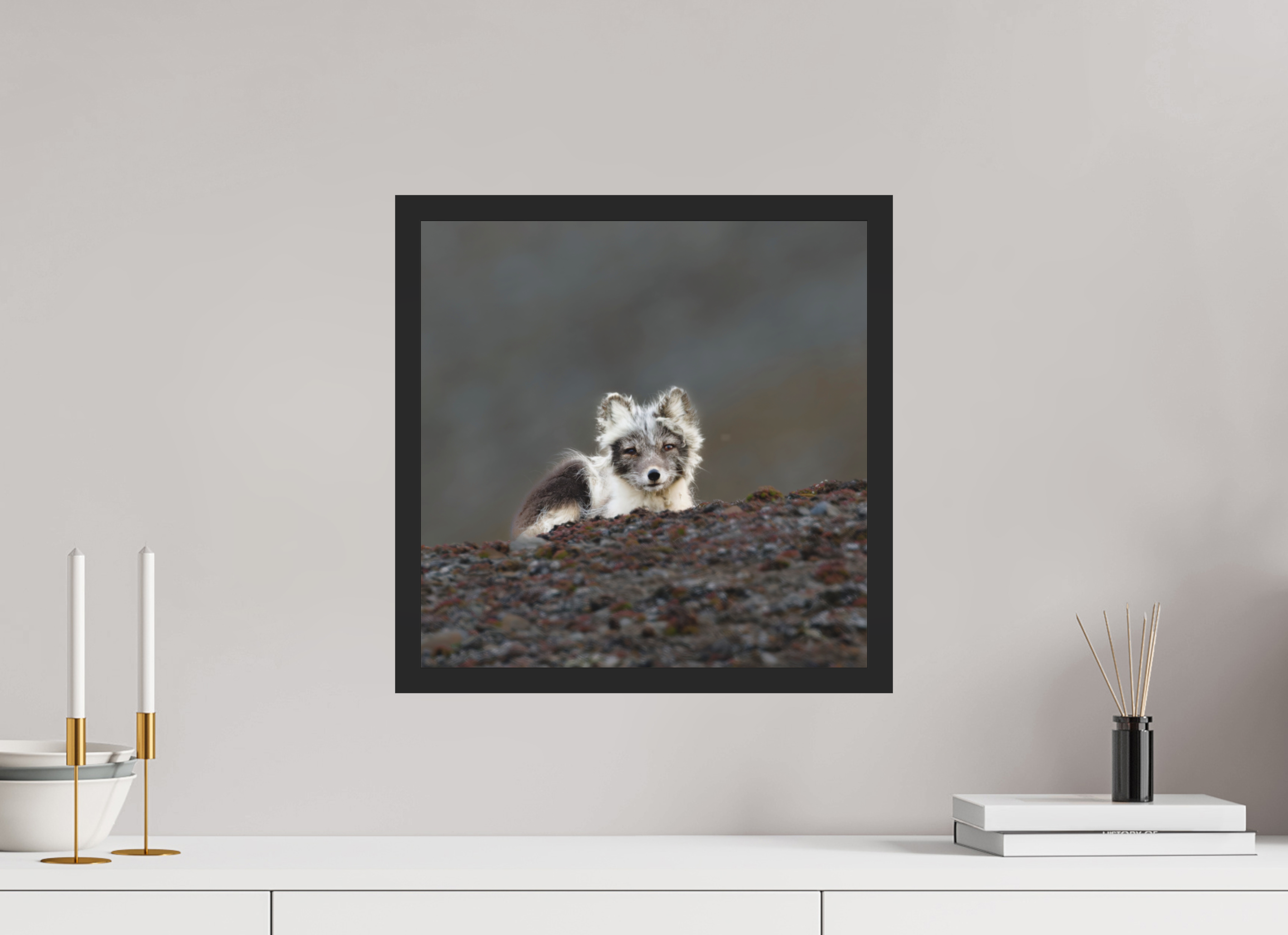 40 x 40 cm, Gallery Frame Hamburg 20mm Matte Black Matte Acrylic Arctic Fox Scout- In Solid 20 mm Wood Frame Hamburg Matte