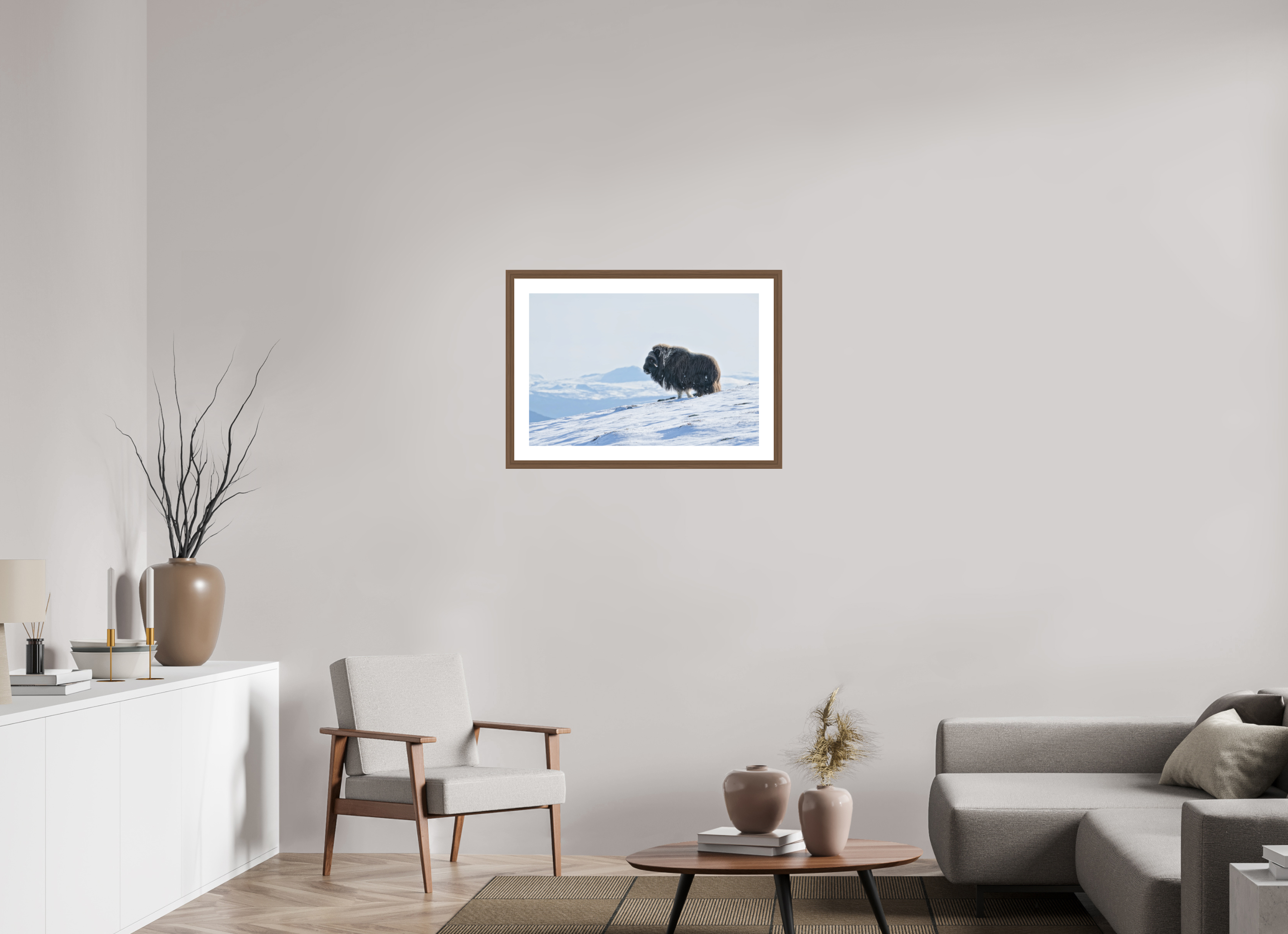 75 x 50 cm, Solid Wood Walnut Frame Vienna White Passe-partout The Musk Ox Kingdom -  Solid Frame White Passe-Partout