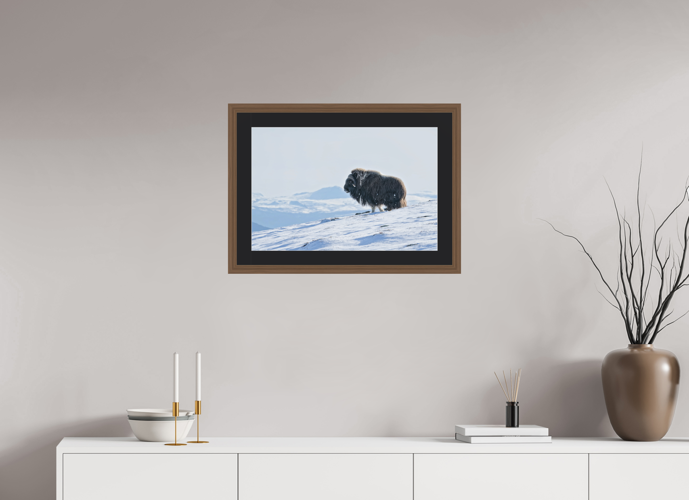 60 x 40 cm, Solid Wood Walnut Frame Vienna Black Passe-partout The Musk Ox Kingdom - Solid Frame With Passe-Partout