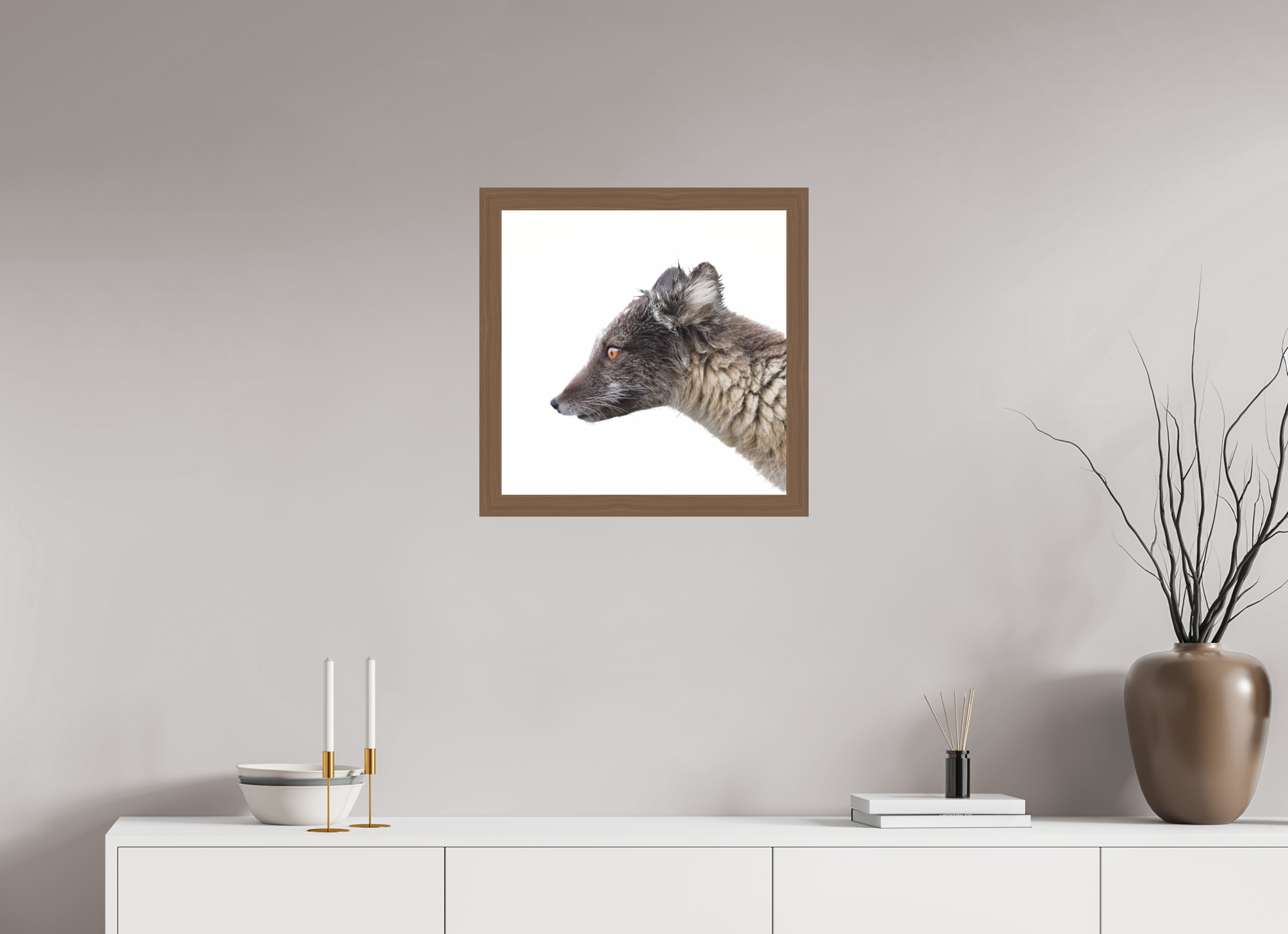 50 x 50 cm, Gallery Frame Hamburg 40mm Walnut Glossy Acrylic Arctic Fox Angel - In Solid 40 mm Wood Frame Hamburg Glossy