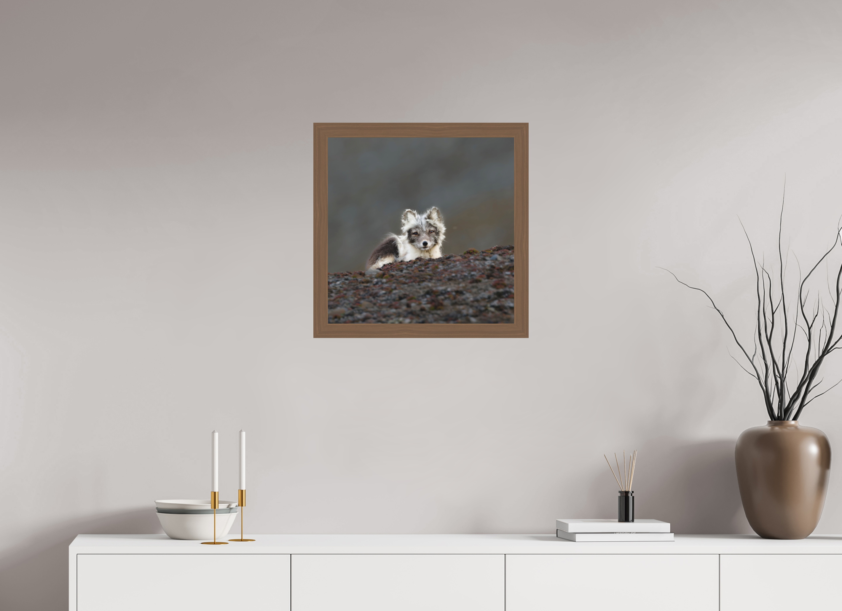 50 x 50 cm, Gallery Frame Hamburg 40mm Black Walnut Acrylic Arctic Fox Scout- In Solid 40 mm Wood Frame Hamburg Matte