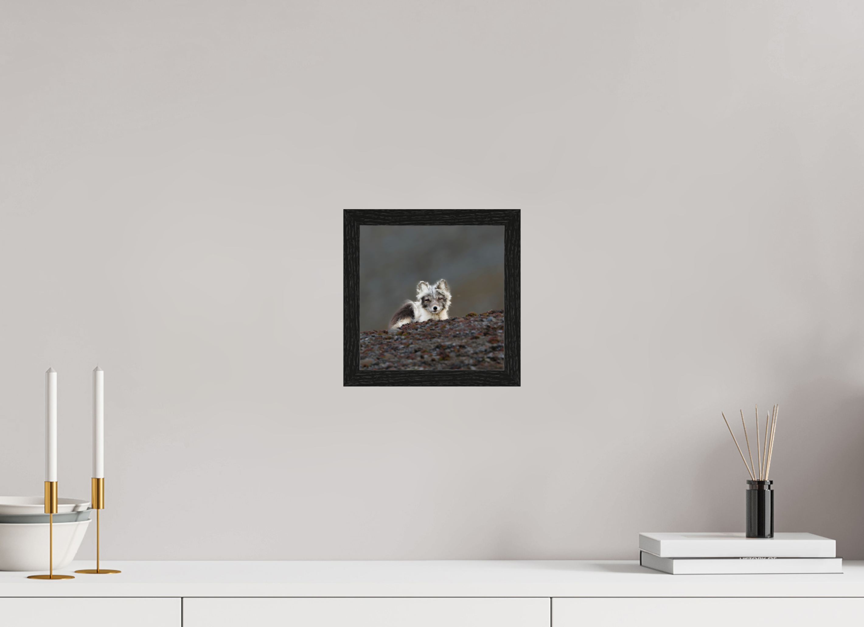 20 x 20 cm, Gallery Frame Hamburg 20mm Black Oak Arctic Fox Scout- In Solid 20 mm Wood Frame Hamburg