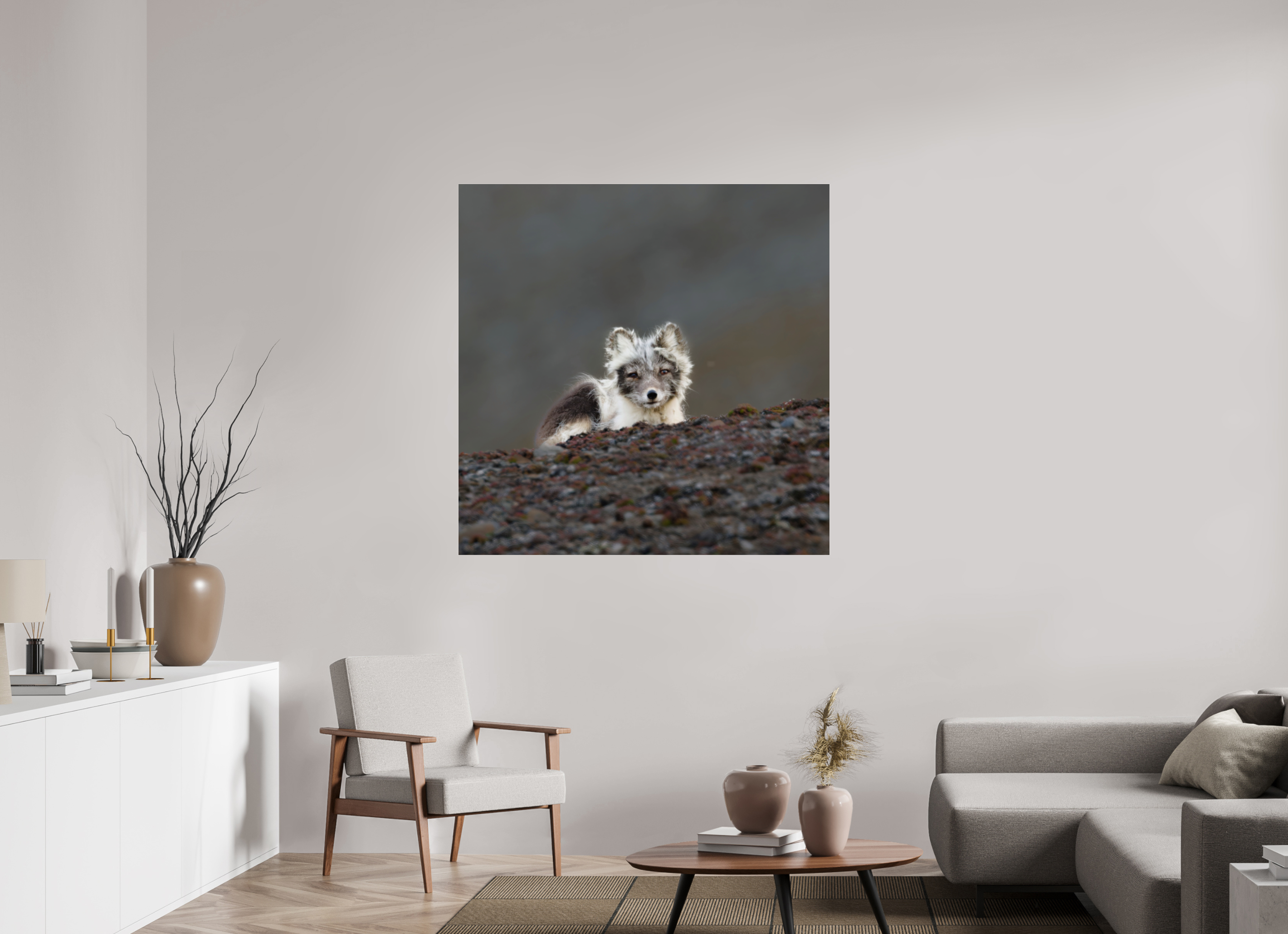 120 x 120 cm, Photo Print Under Acrylic Glass Arctic Fox Scout - Photo Print Under Acrylic Glass