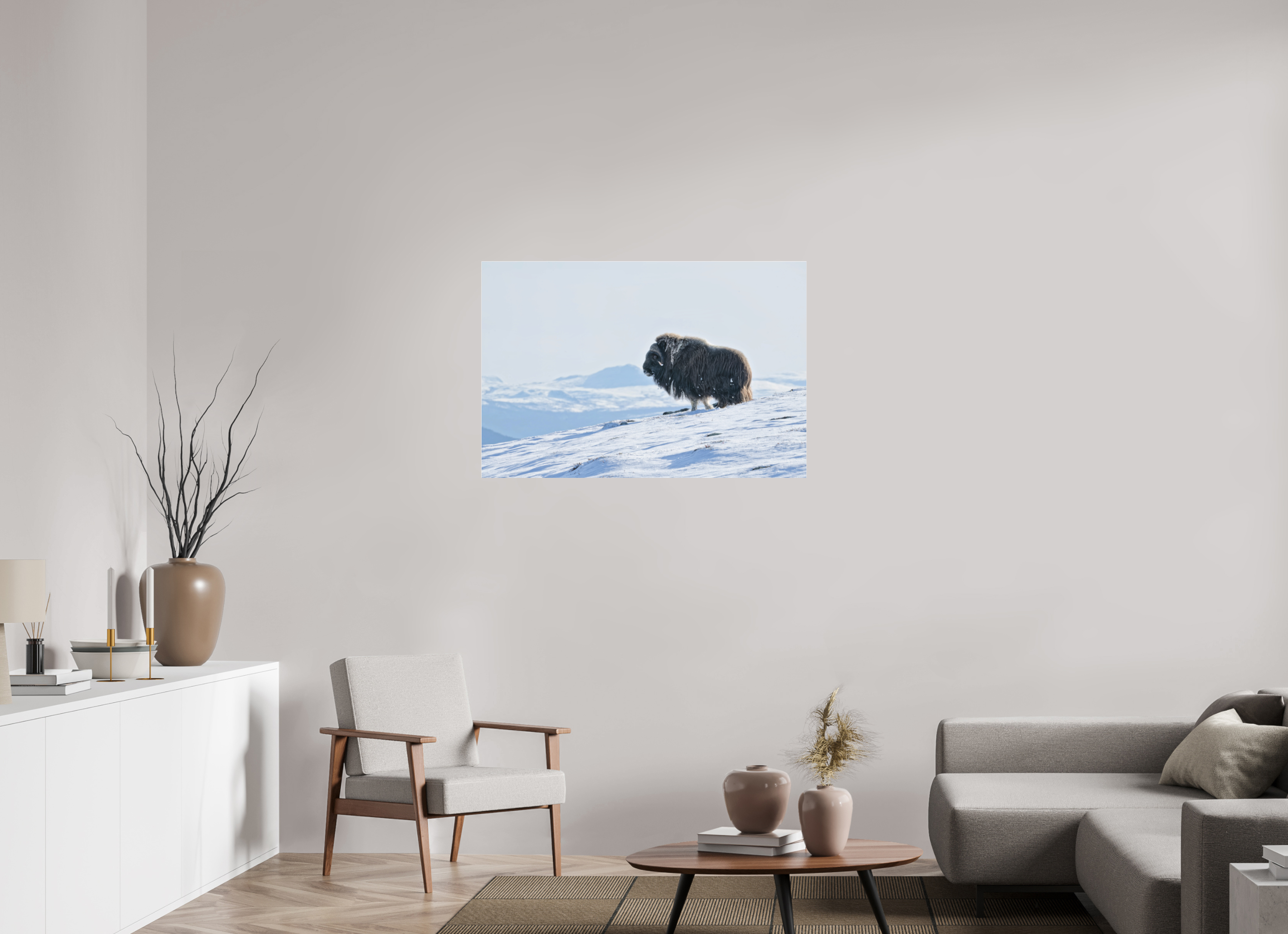 105 x 70 cm, Photo Print Under Matte Acrylic Glass 2mm The Musk Ox Kingdom - Photo Print Under Acrylic Glass