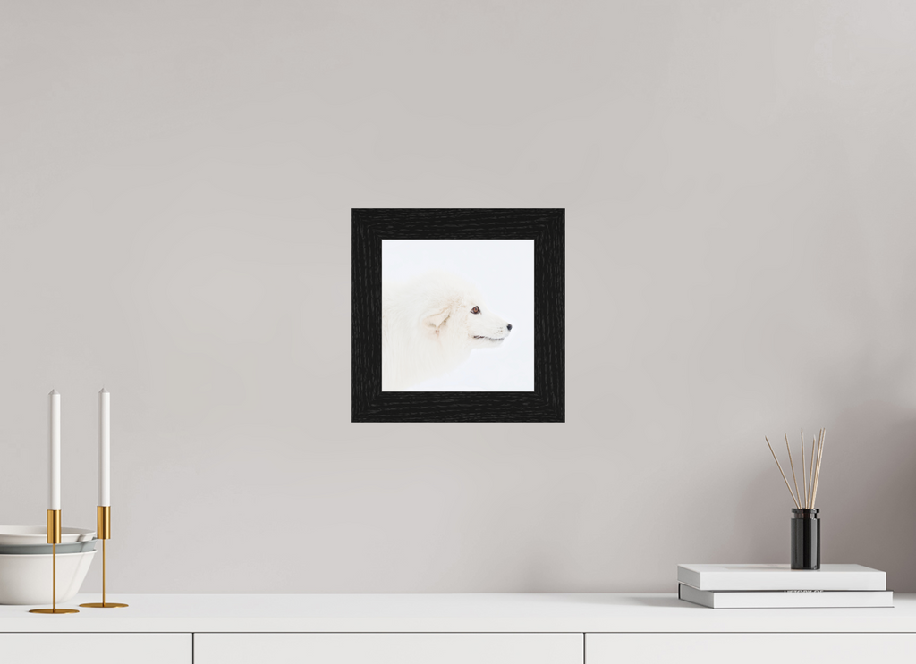 20 x 20 cm, Gallery Frame Hamburg 40mm Black Oak Glossy Acrylic Glass Arctic Fox Head - In Solid Wood Frame Hamburg 40 mm