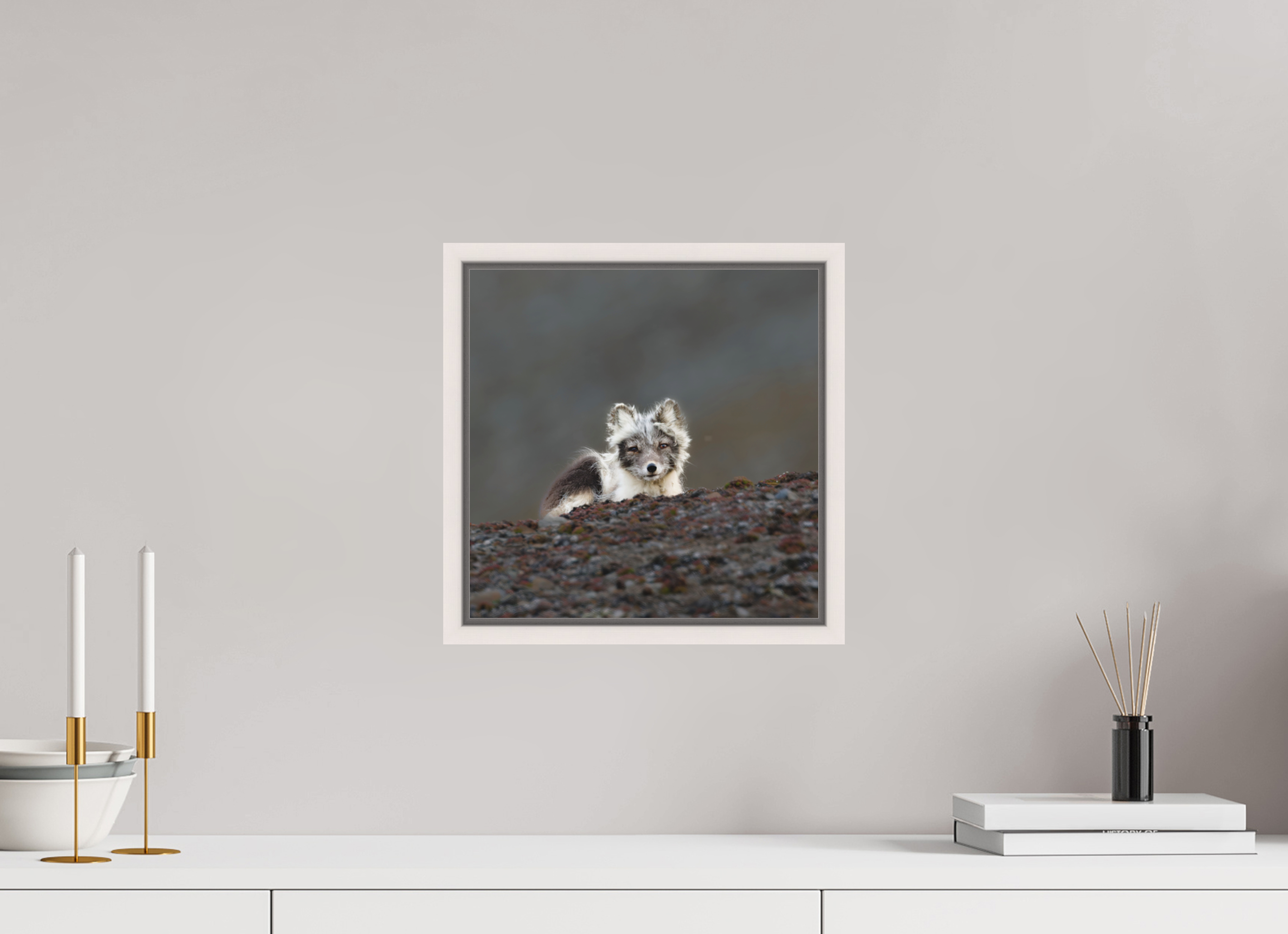 30 x 30 cm, Floater Frame Maple White Matte Acrylic Glass Arctic Fox Scout - Floater Frame Matte