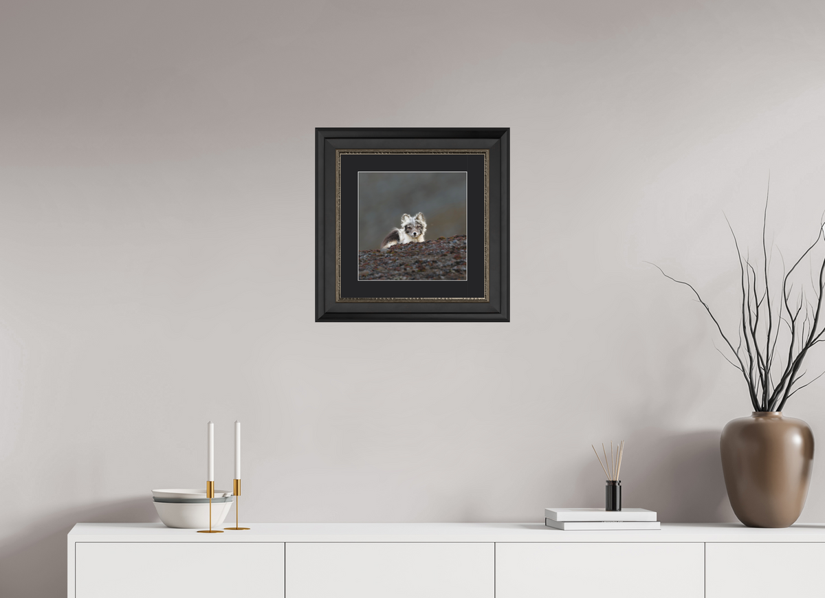 30 x 30 cm, Solid Wood Frame London Passe-partout Silver Arctiv Fox Scout -Solid Frame With Passe-Partout
