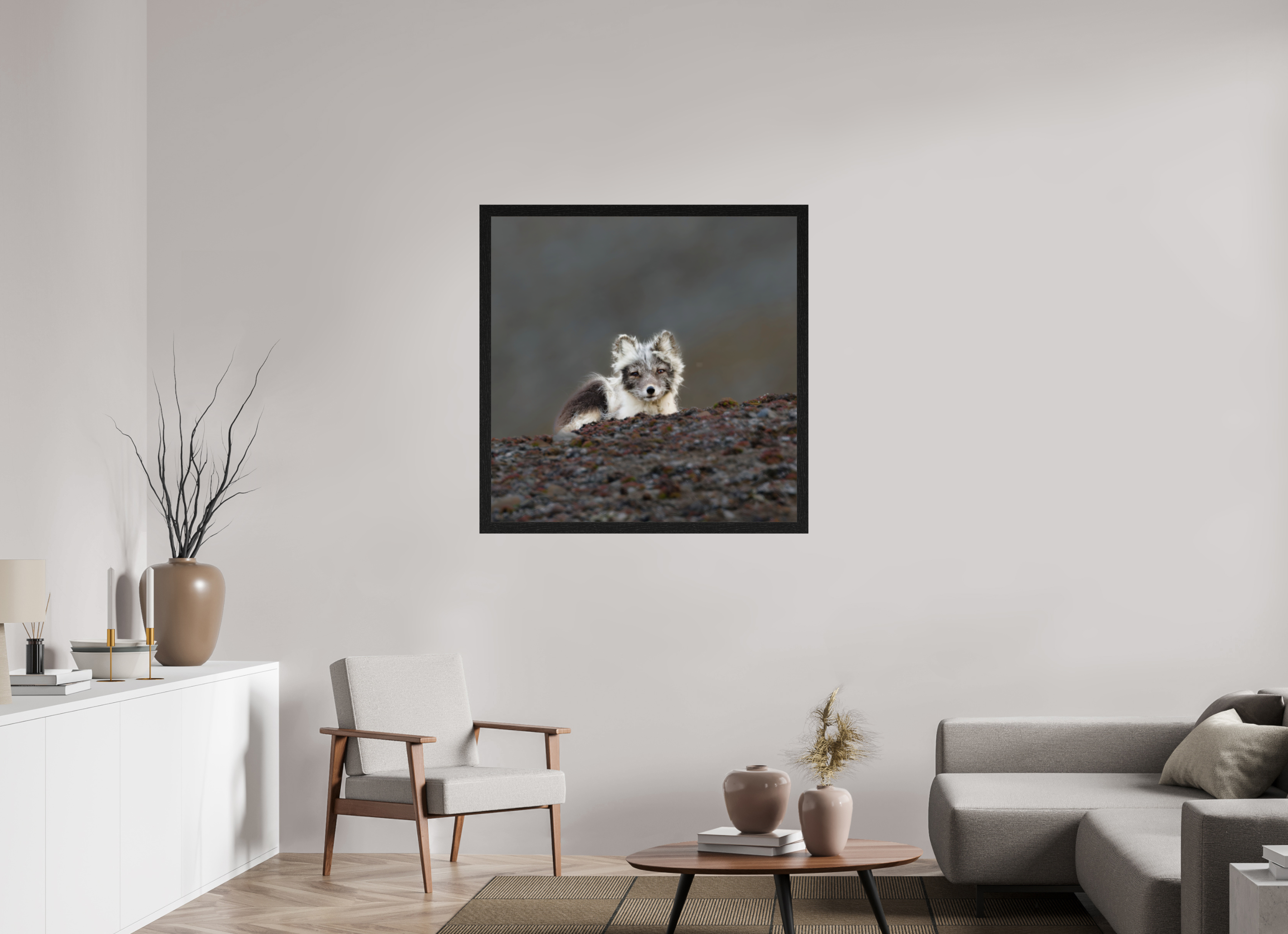 100 x 100 cm, Gallery Frame Hamburg 40mm Black Oak Glossy Acrylic Glass Arctic Fox Scout- In Solid 40 mm Wood Frame Hamburg Glossy
