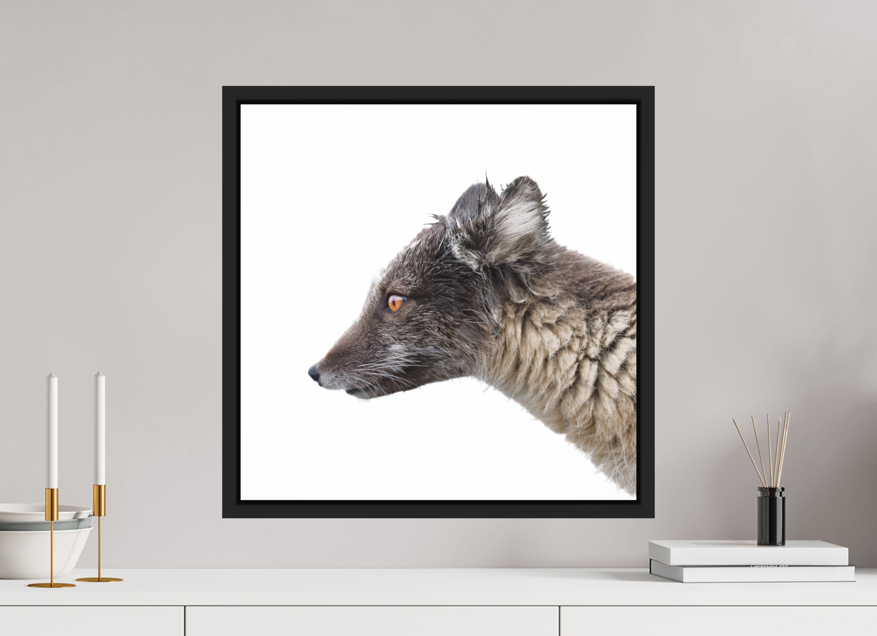 50 x 50 cm, Floater Frame Matte Black Glossy Acrylic Glass Arctic Fox Brown - Floater Frame Glossy