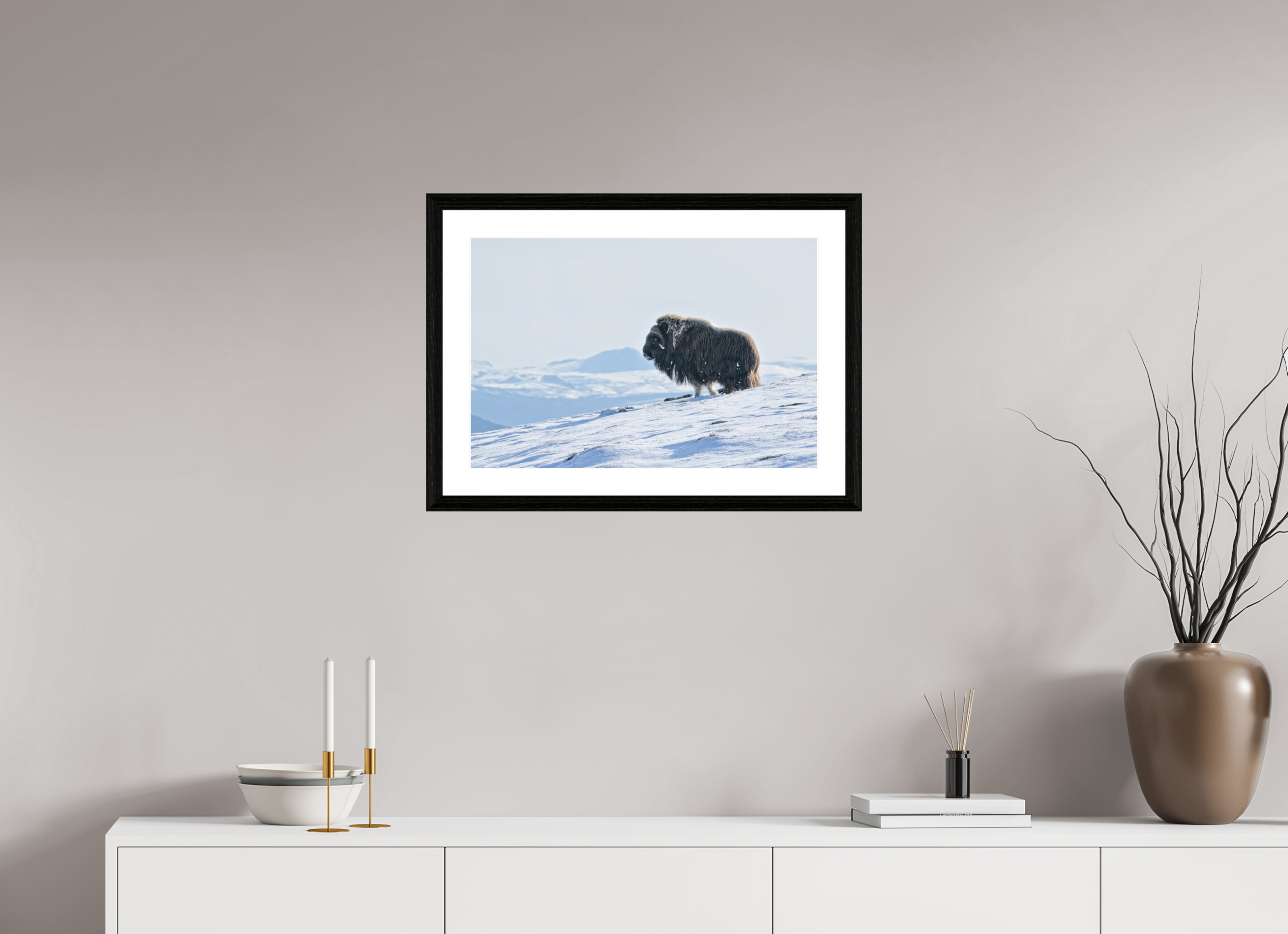 60 x 40 cm, Solid Wood Black Oak Frame Vienna White Passe-partout The Musk Ox Kingdom -  Solid Frame White Passe-Partout