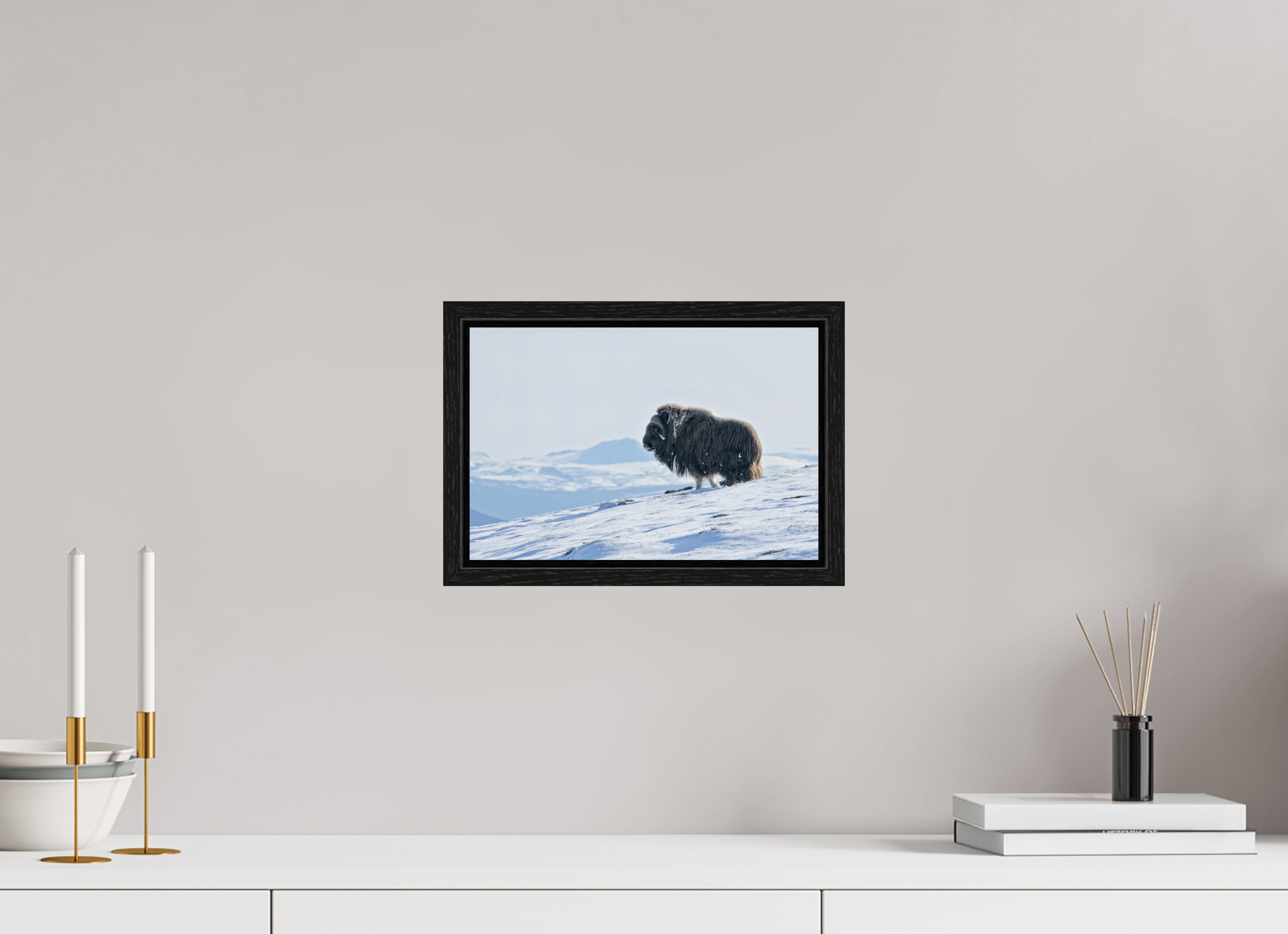 30 x 20 cm, Floater Frame Black Oak Glossy Acrylic Glass The Musk Ox Kingdom - Floater Frame Glossy