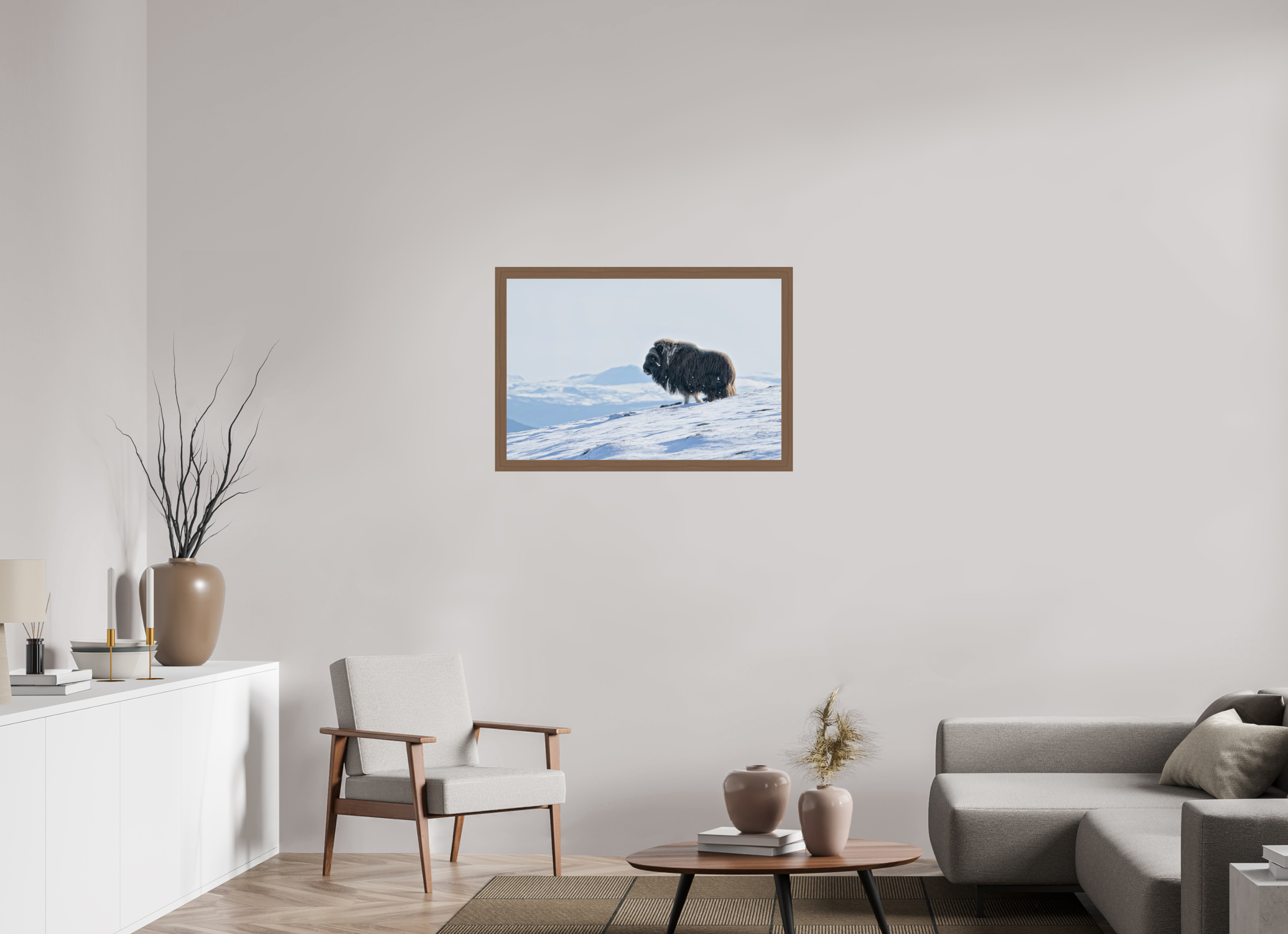 90 x 60 cm, Gallery Frame Hamburg 40mm Walnut Glossy Acrylic Glass The Musk Ox Kingdom -  In Solid 40 mm Wood Frame Hamburg  Glossy Acrylic