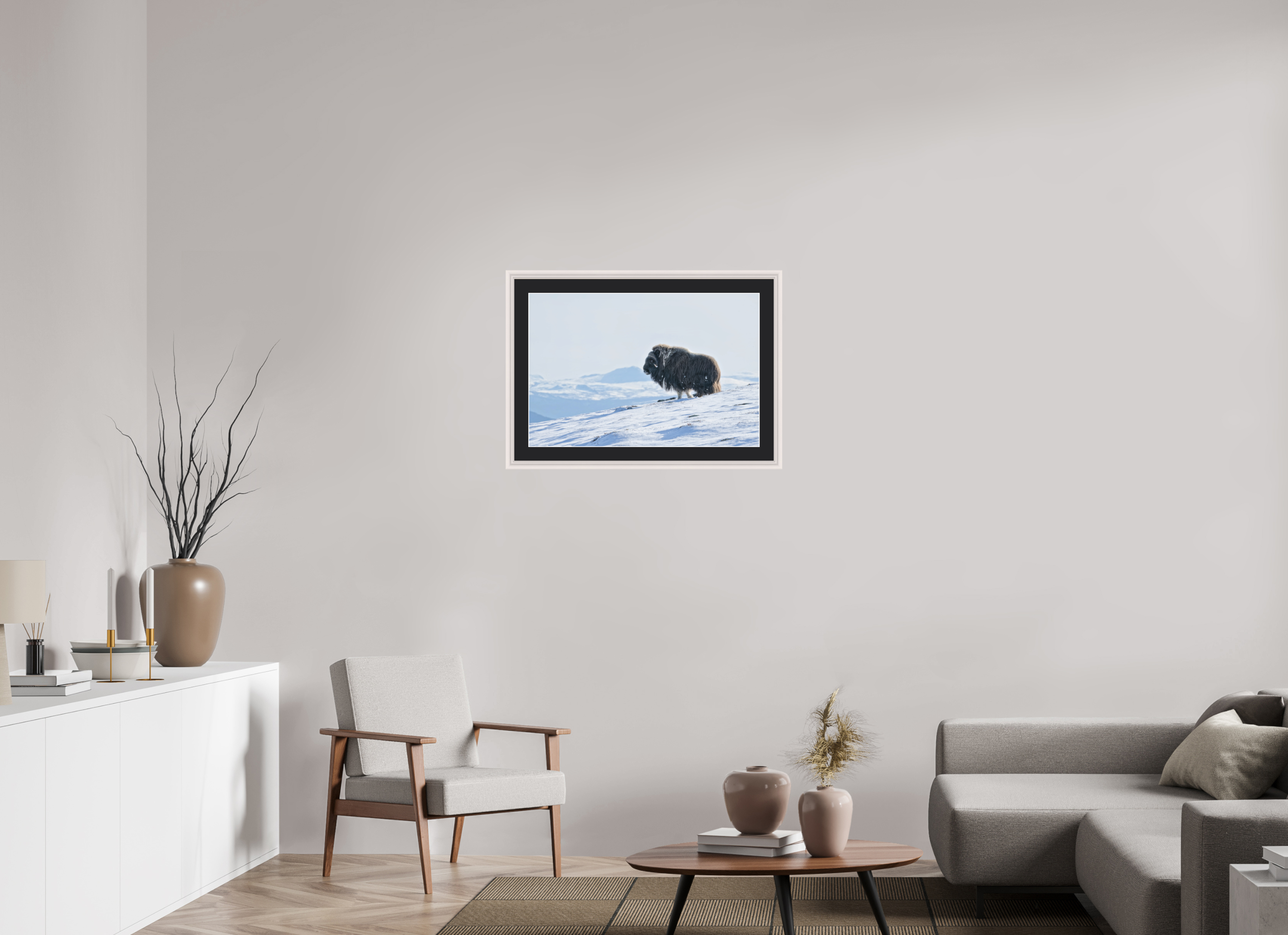 75 x 50 cm, Solid Wood White Frame Vienna Black Passe-partout Maple The Musk Ox Kingdom - Solid Frame With Passe-Partout
