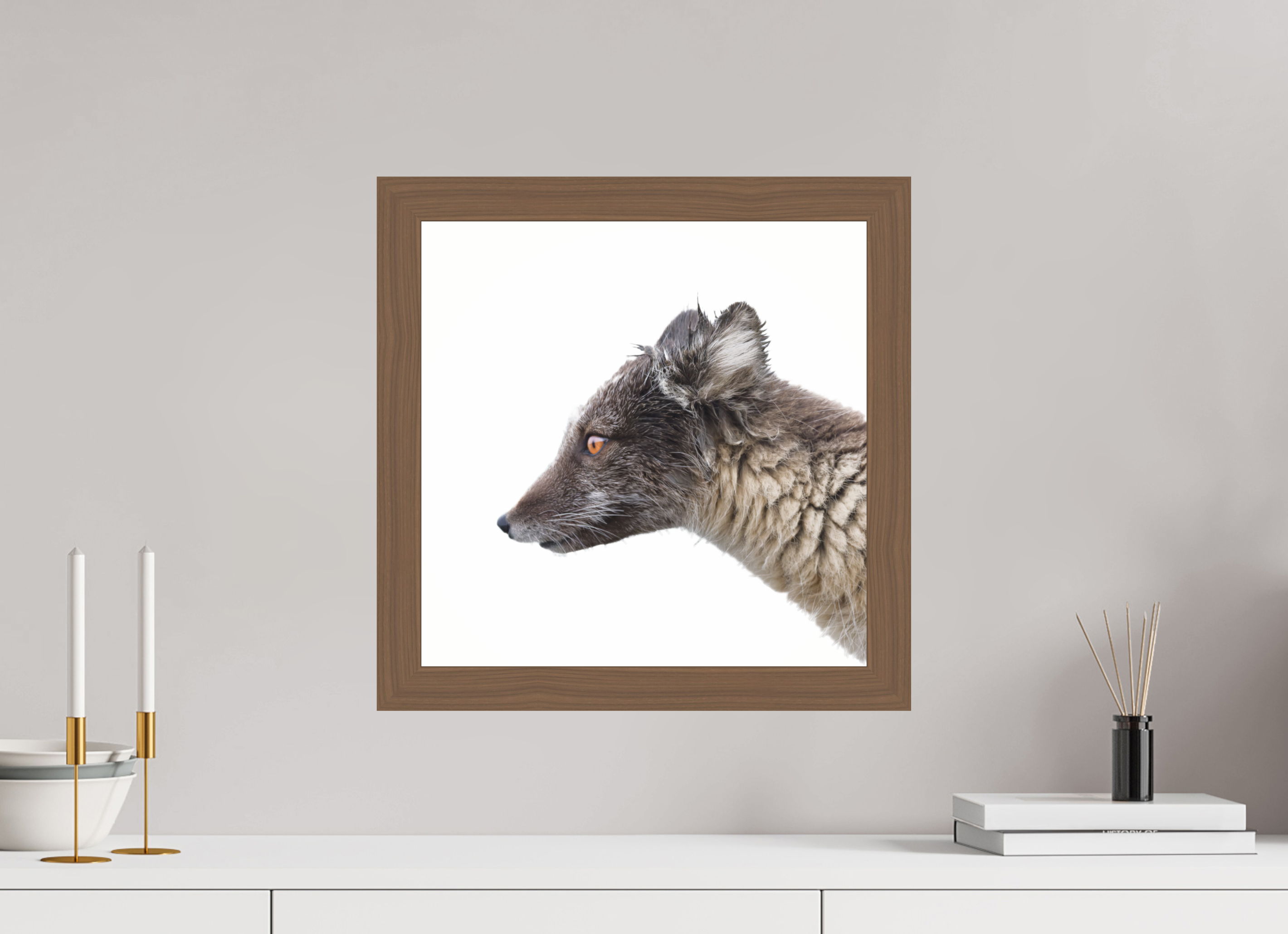 40 x 40 cm, Gallery Frame Hamburg 40mm Walnut Glossy Acrylic Arctic Fox Angel - In Solid 40 mm Wood Frame Hamburg Glossy