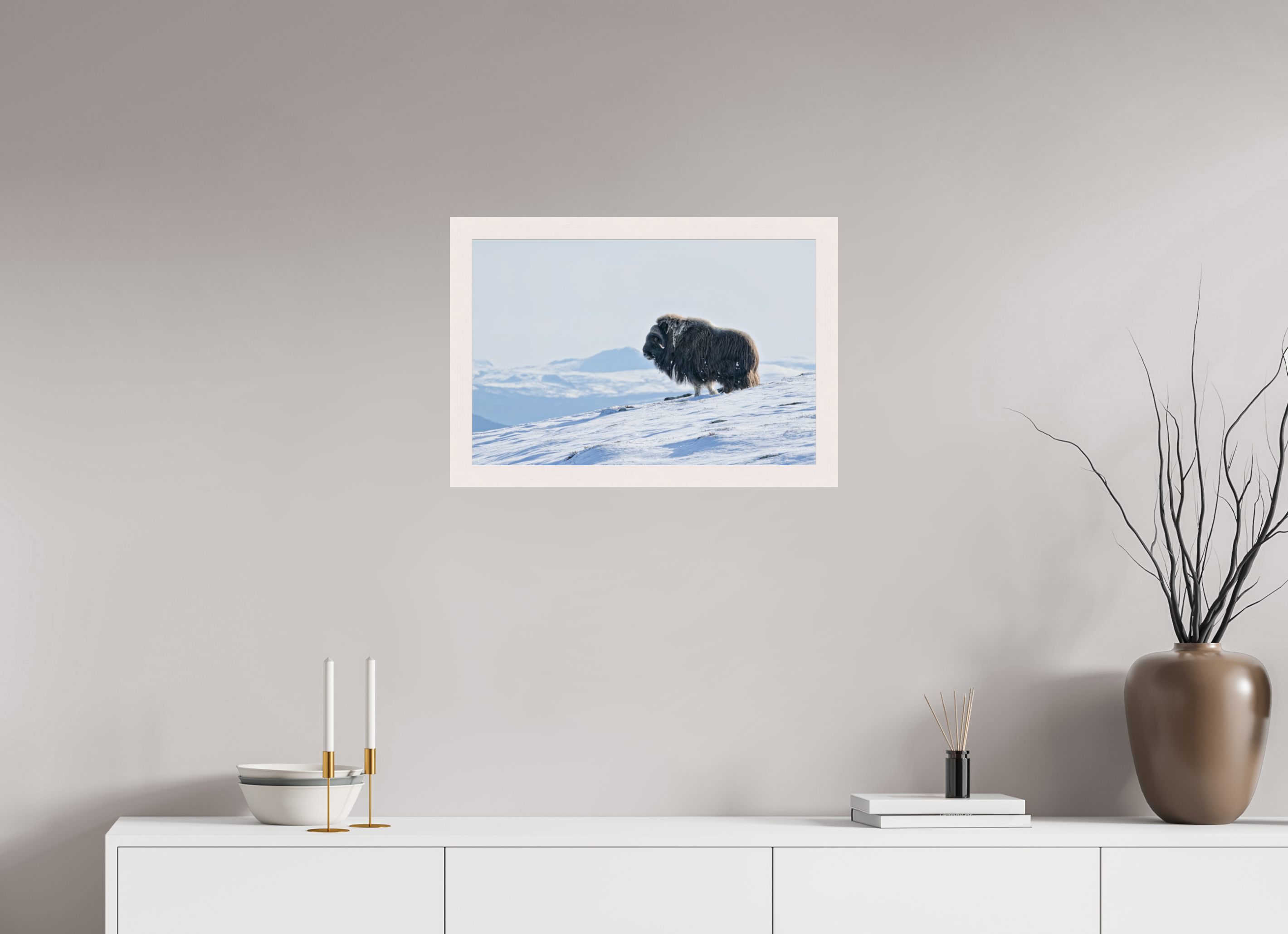 60 x 40 cm, Gallery Frame Hamburg 40mm White Maple Glossy Acrylic Glass The Musk Ox Kingdom -  In Solid 40 mm Wood Frame Hamburg  Glossy Acrylic