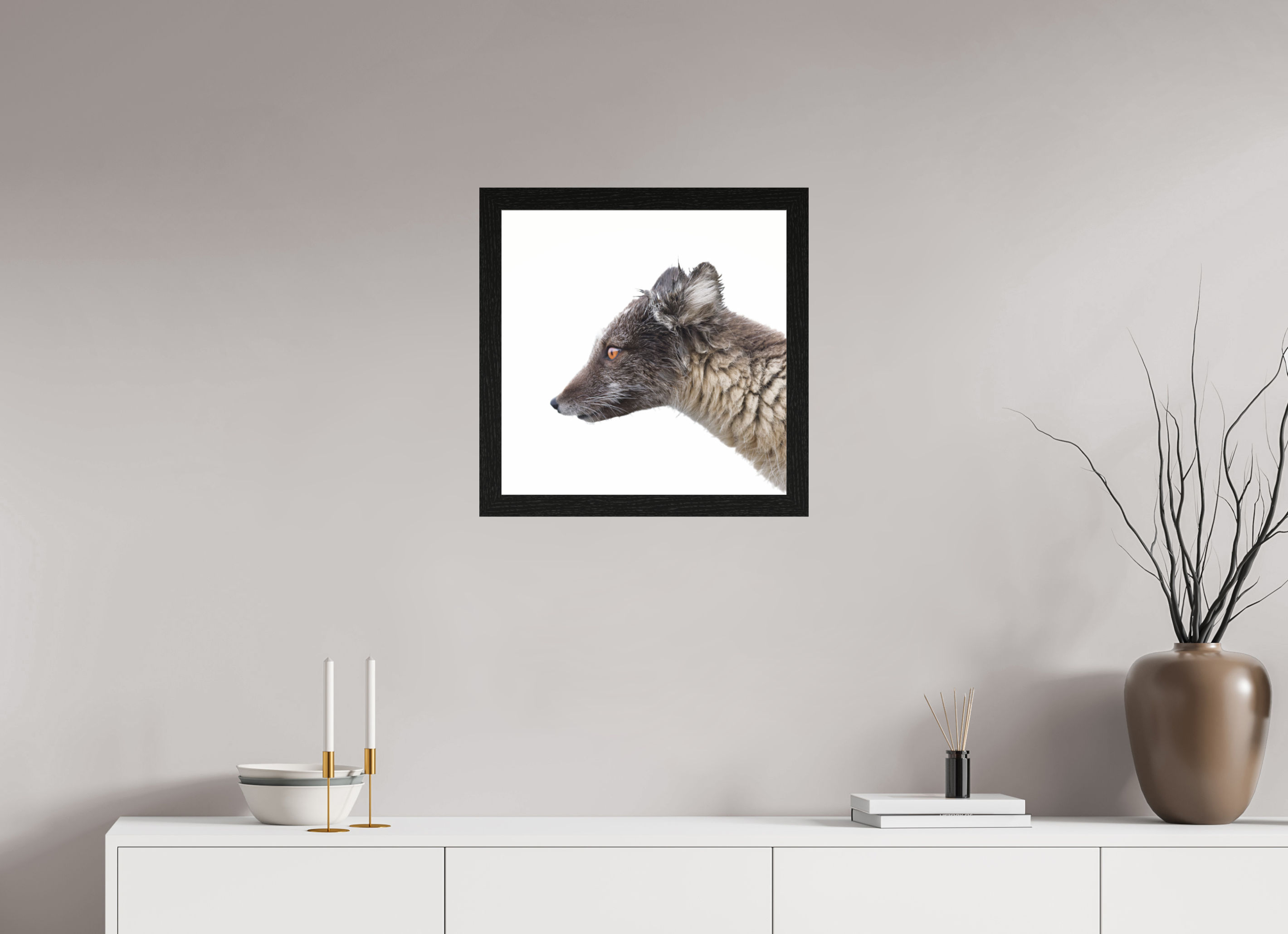 50 x 50 cm, Gallery Frame Hamburg 40mm Black Oak Glossy Acrylic Glass Arctic Fox Angel - In Solid 40 mm Wood Frame Hamburg Glossy