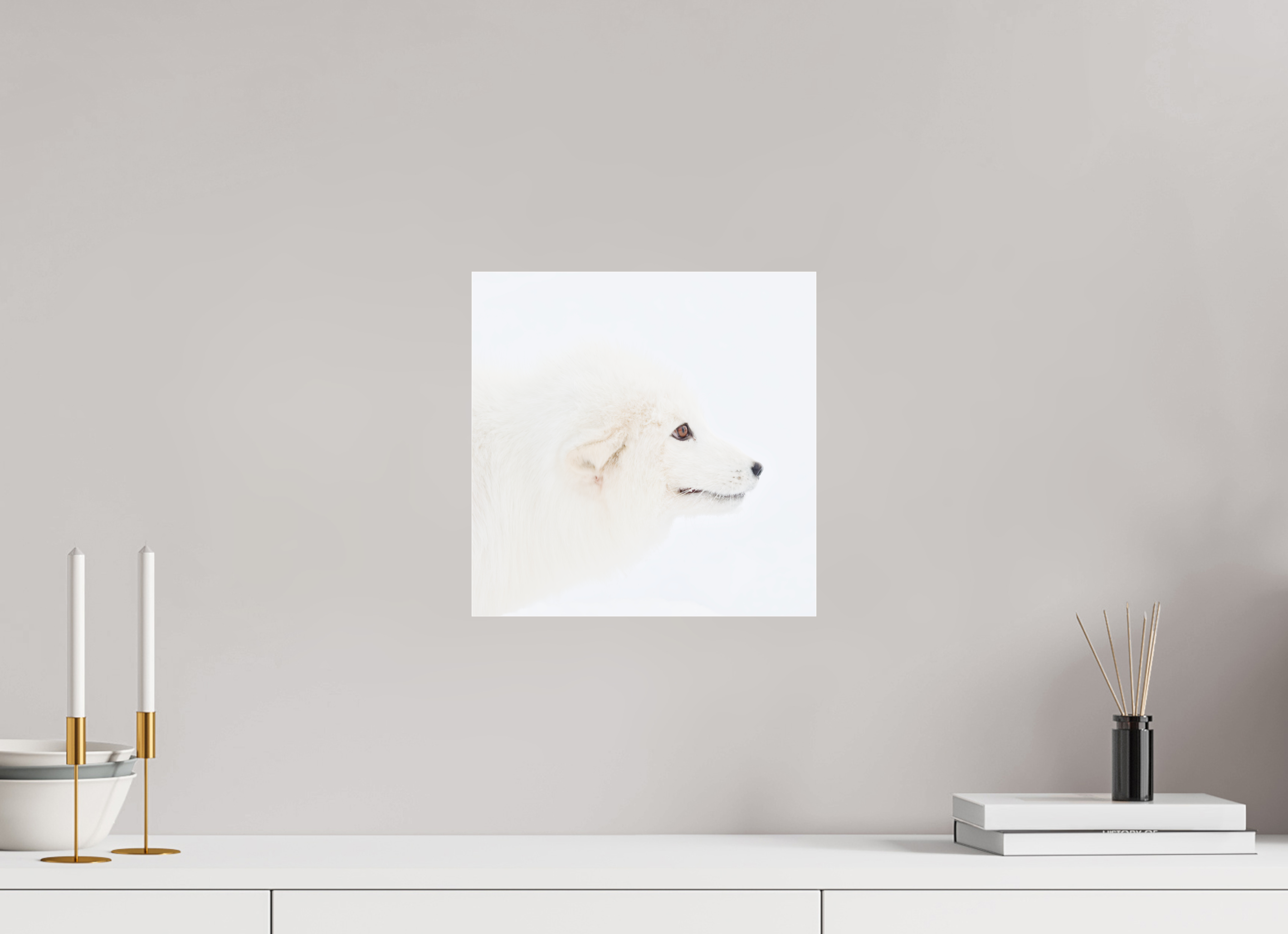 30 x 30 cm, Photo Print Under Acrylic Glass Arctic Fox Head - Photo Print Under Acrylic Glass