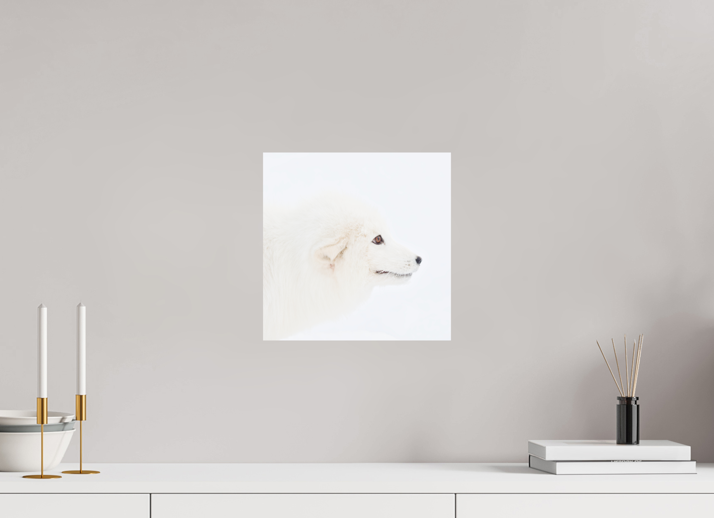 30 x 30 cm, Photo Print On Fuji Crystal DP II Arctic Fox Head - Photo Print