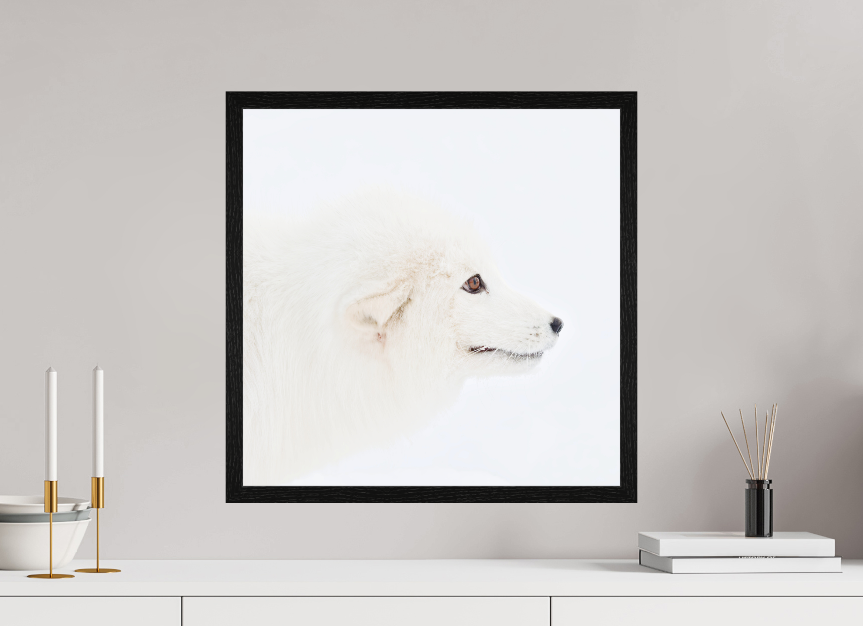 50 x 50 cm, Gallery Frame Hamburg 20mm Black Oak Glossy Acrylic Arctic Fox Head - In Gallery Frame Hamburg