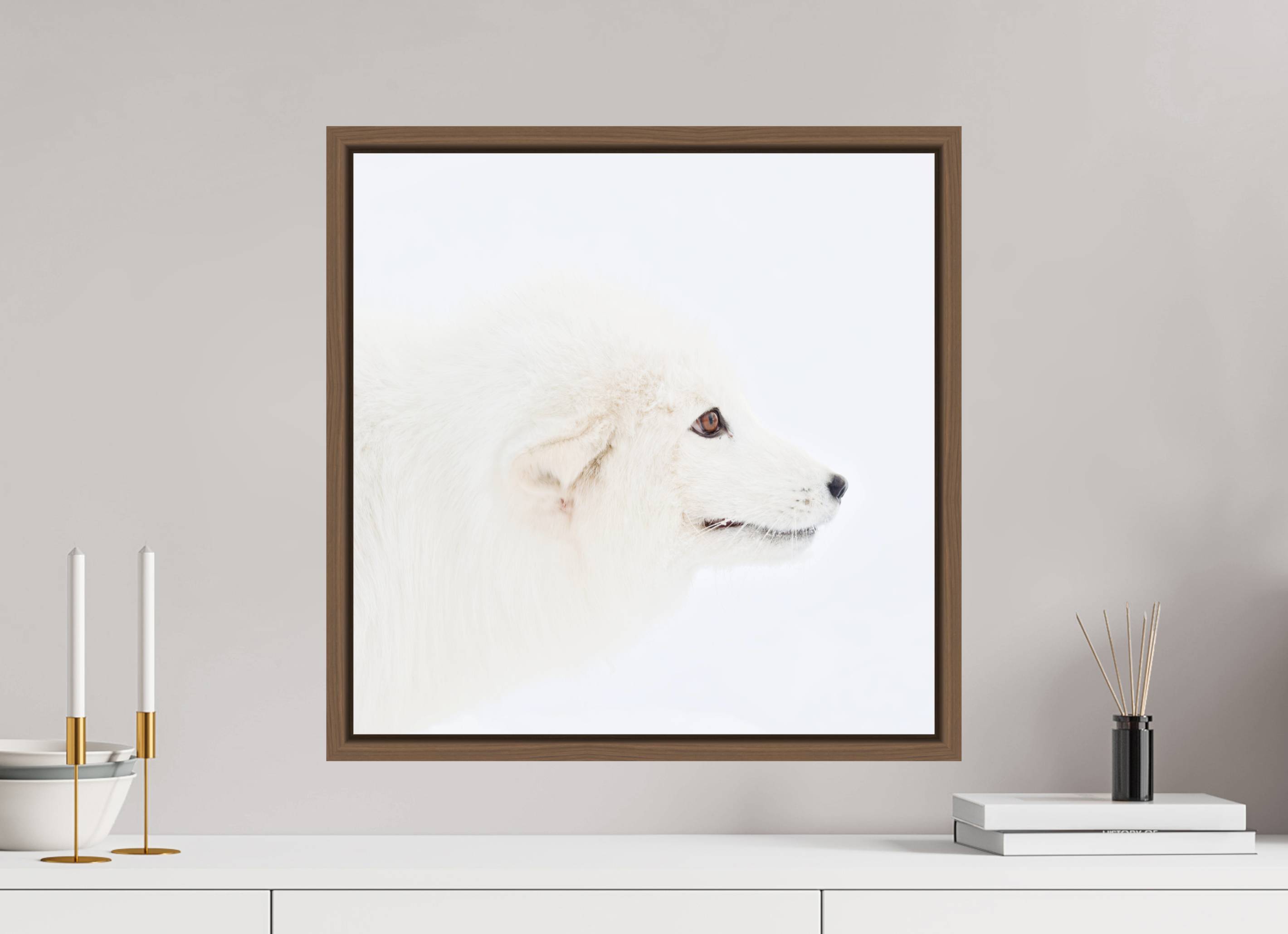 50 x 50 cm, Floater Frame Walnut Glossy Acrylic Glass Arctic Fox Head - Floater Frame