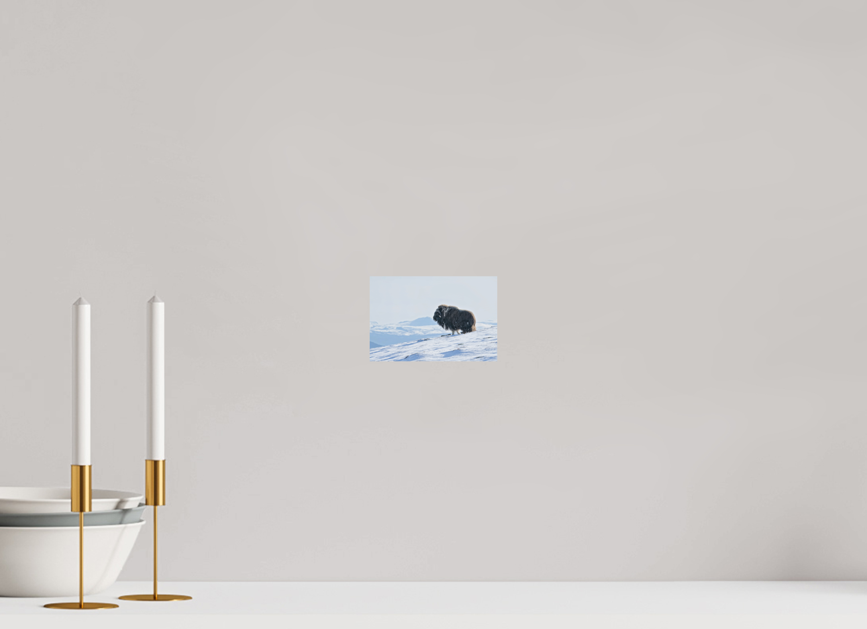 15 x 10 cm, Matte Photo Print Kingdom of Musk