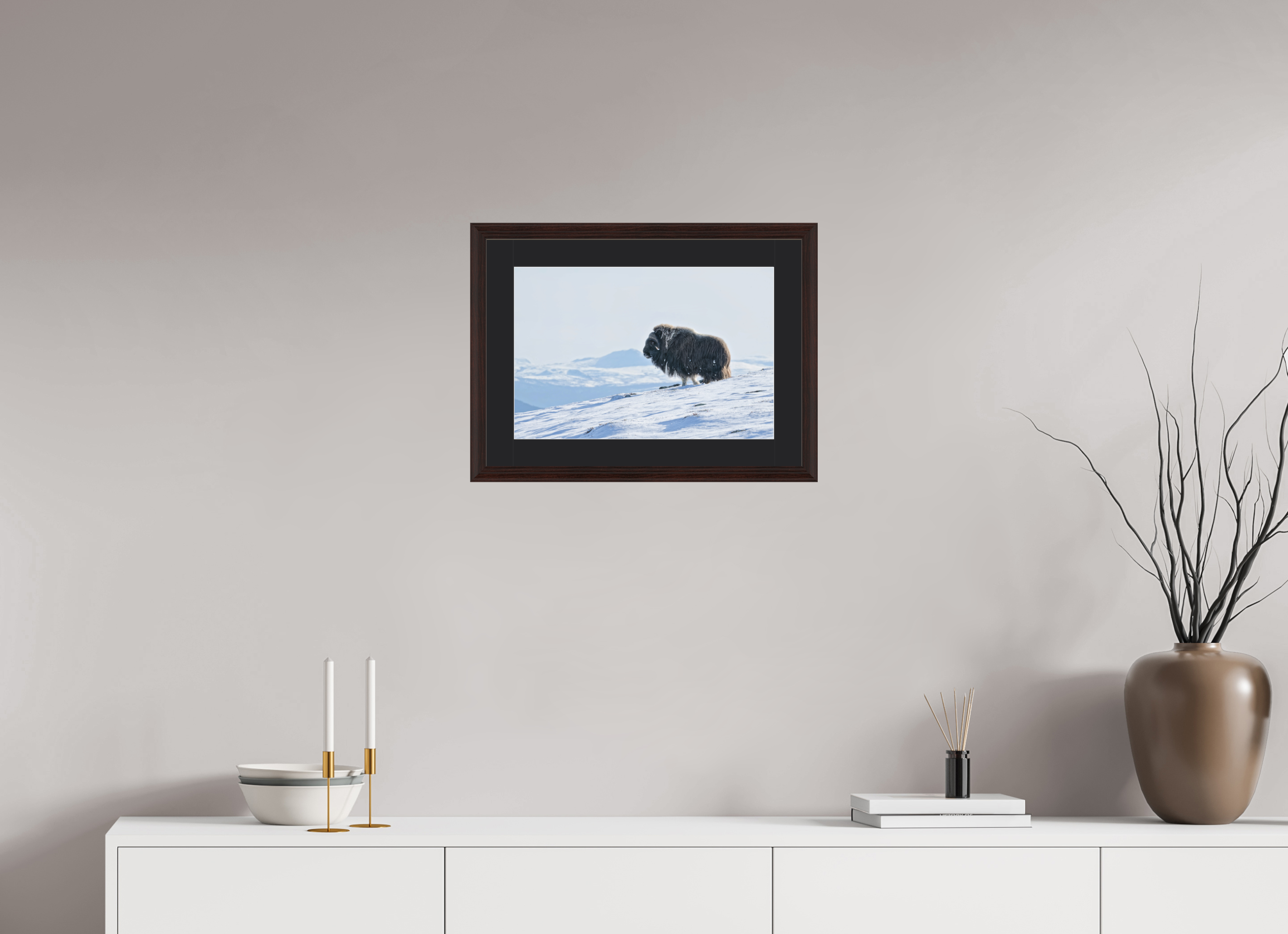 45 x 30 cm, Solid Wood Alder Brown Frame Vienna Black Passe-partout The Musk Ox Kingdom - Solid Frame With Passe-Partout