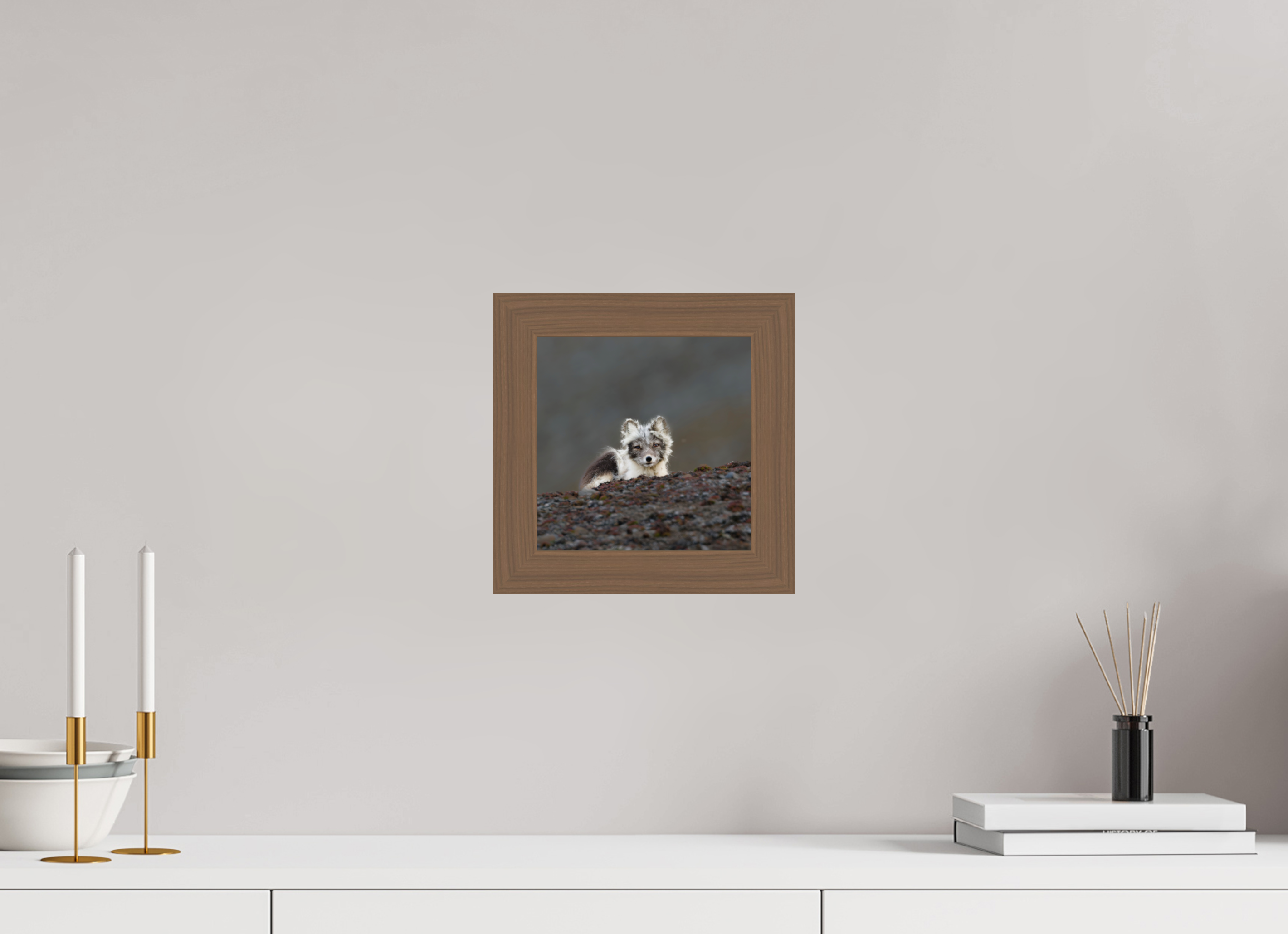 20 x 20 cm, Gallery Frame Hamburg 40mm Walnut Glossy Acrylic Arctic Fox Scout- In Solid 40 mm Wood Frame Hamburg Glossy