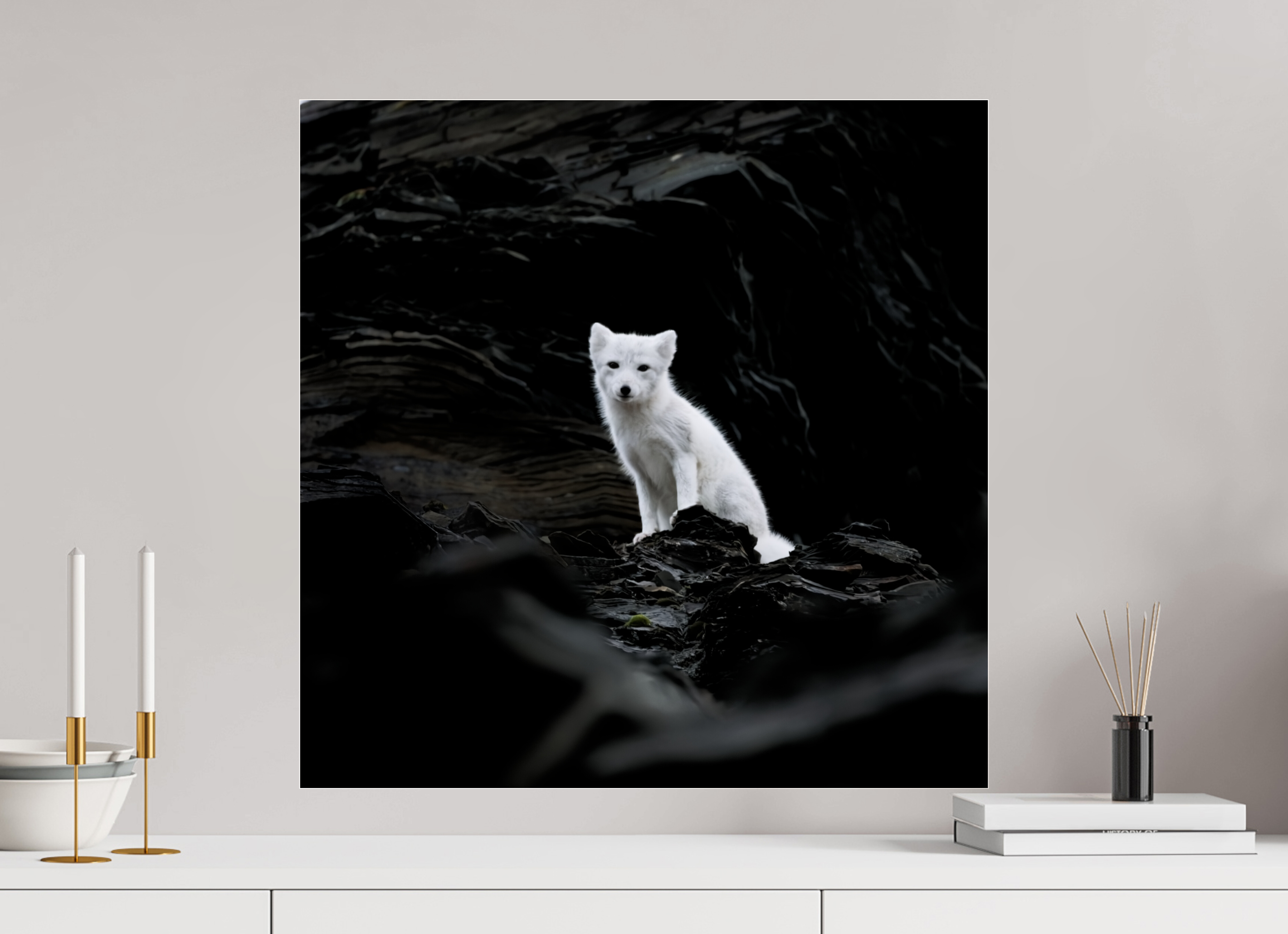 60 x 60 cm, Photo Print Under Glossy Acrylic Glass 2mm Arctic Fox Angel - Under Acrylic Glass